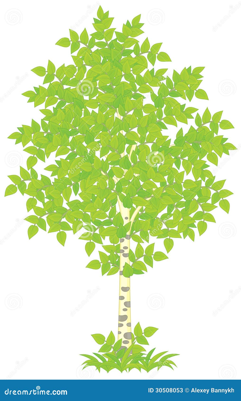 Логотип дерево береза