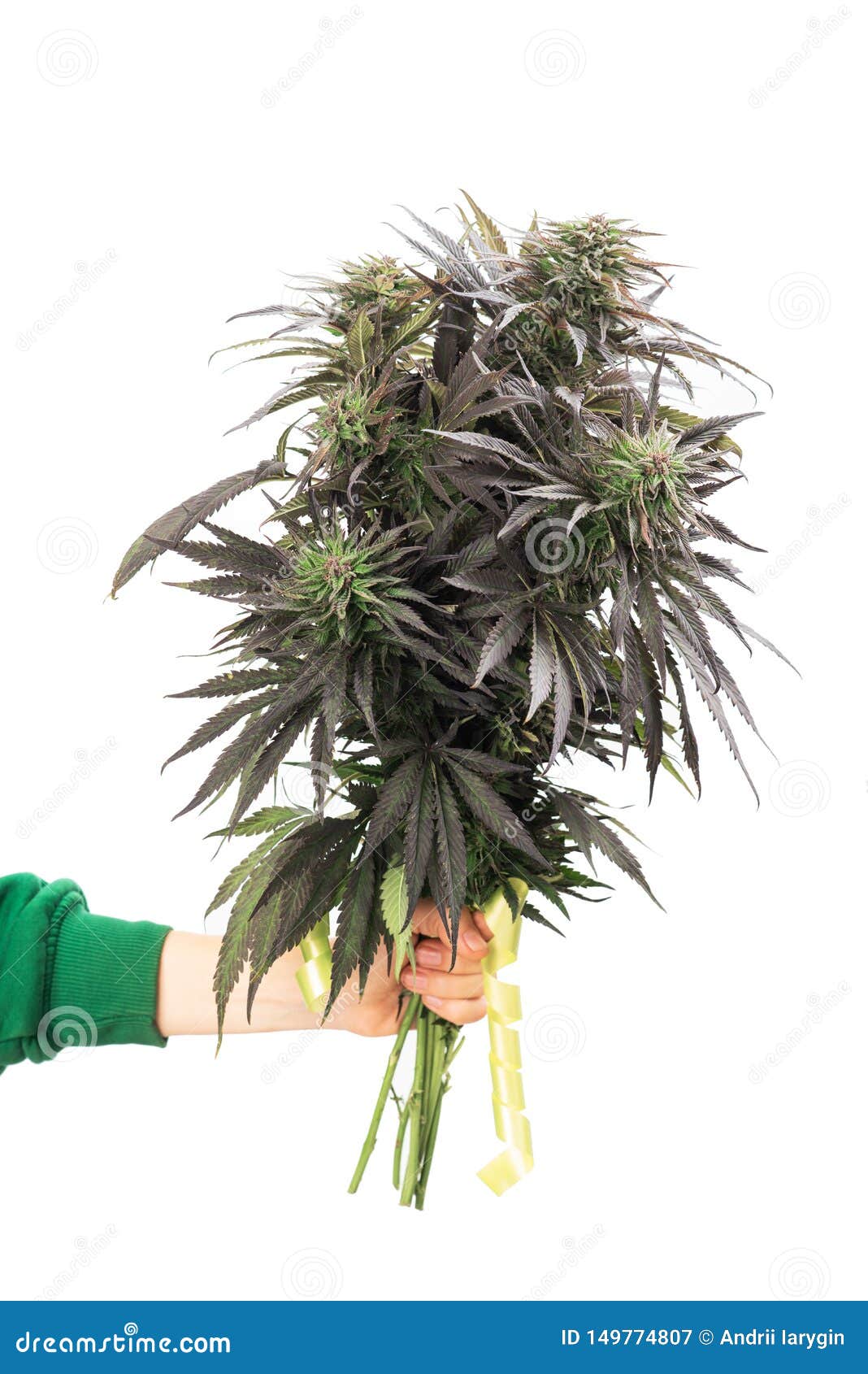Букет из марихуаны самые большие плантации конопли