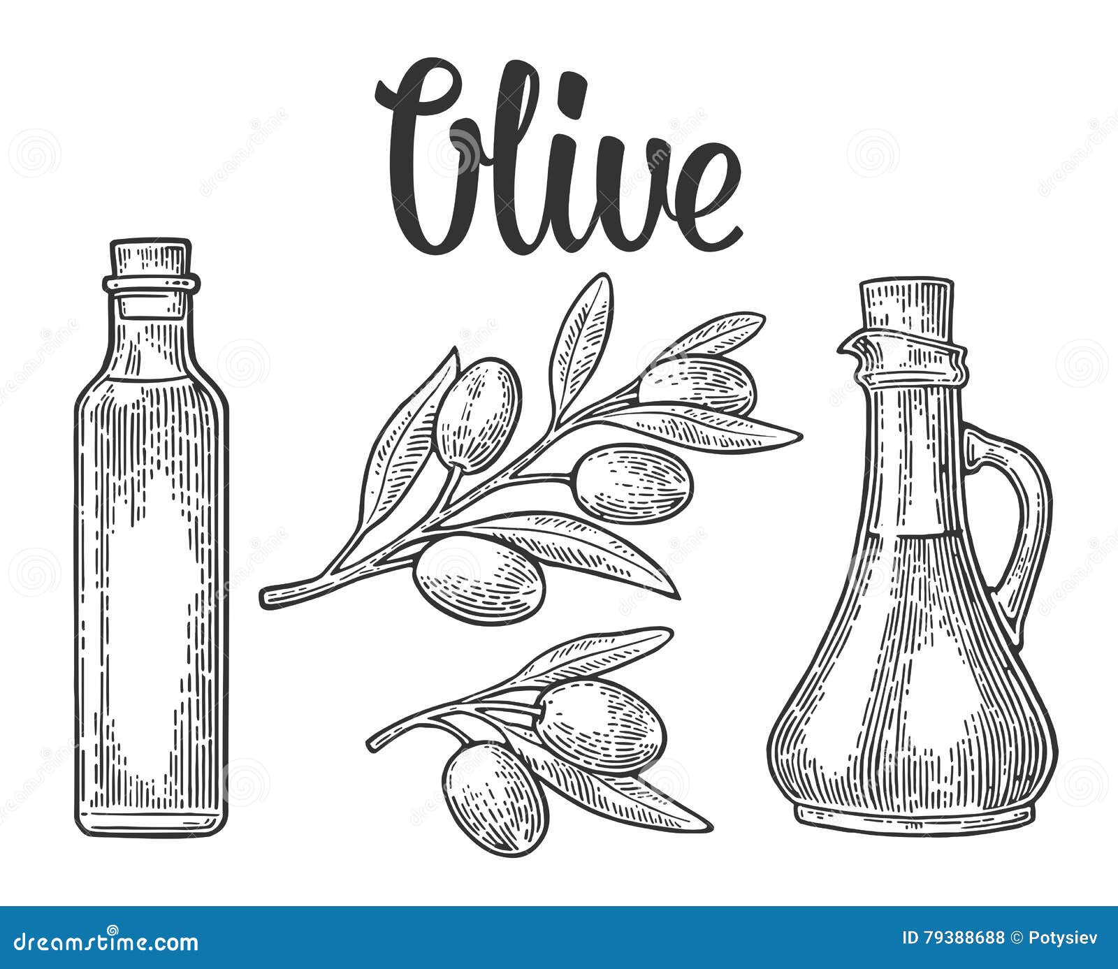 Рисунок контурный оливковое масло