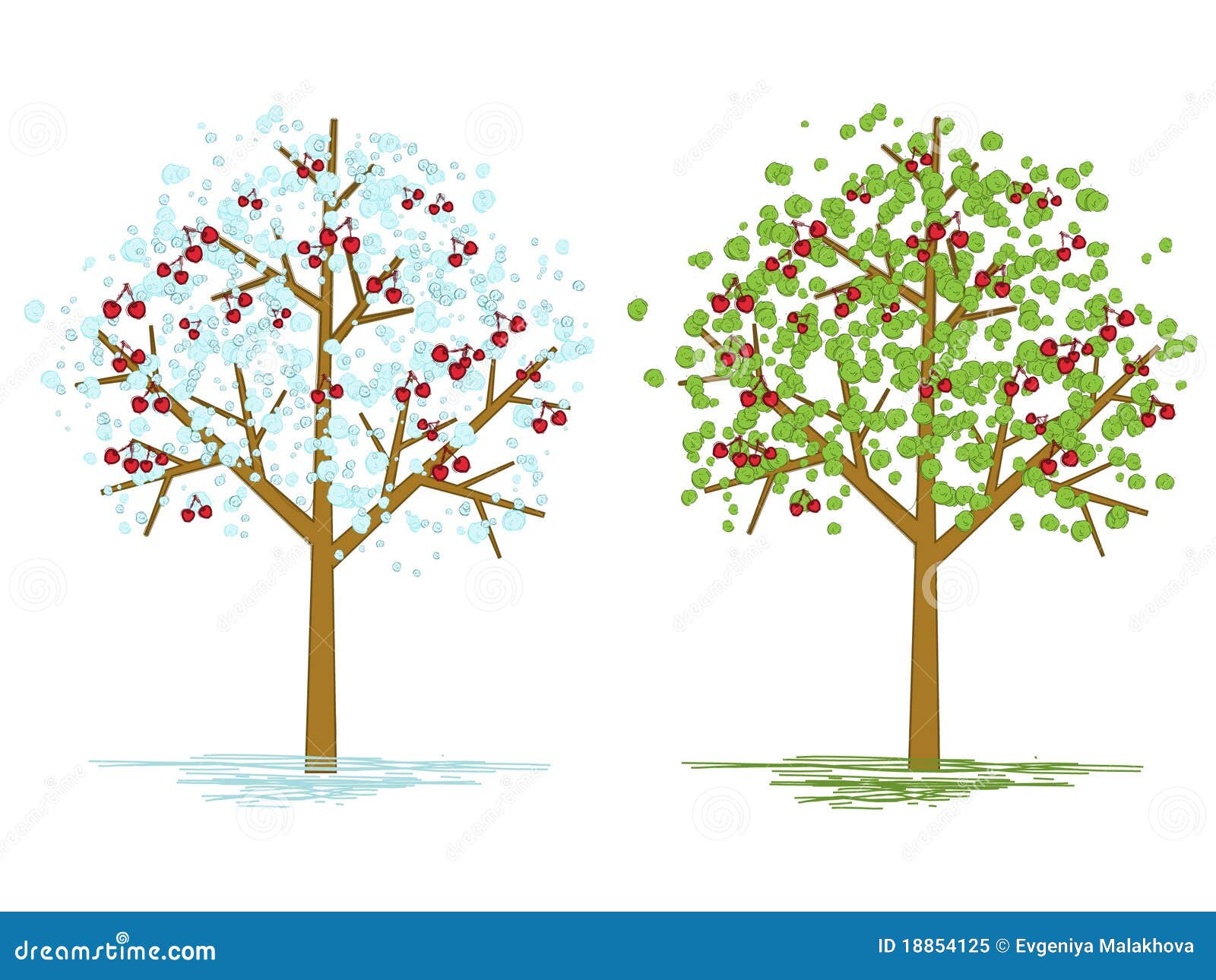 Как нарисовать дерево вишни