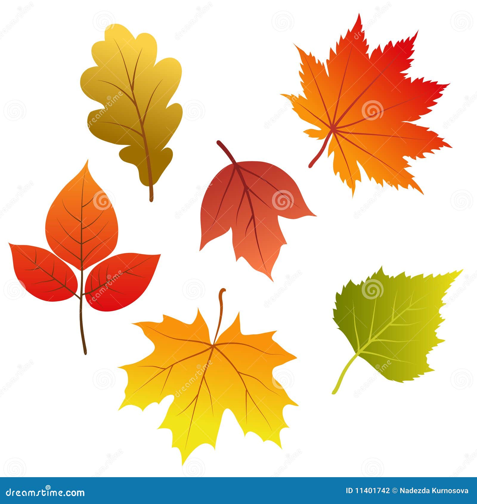 картинки осенних листьев для вырезания цветные