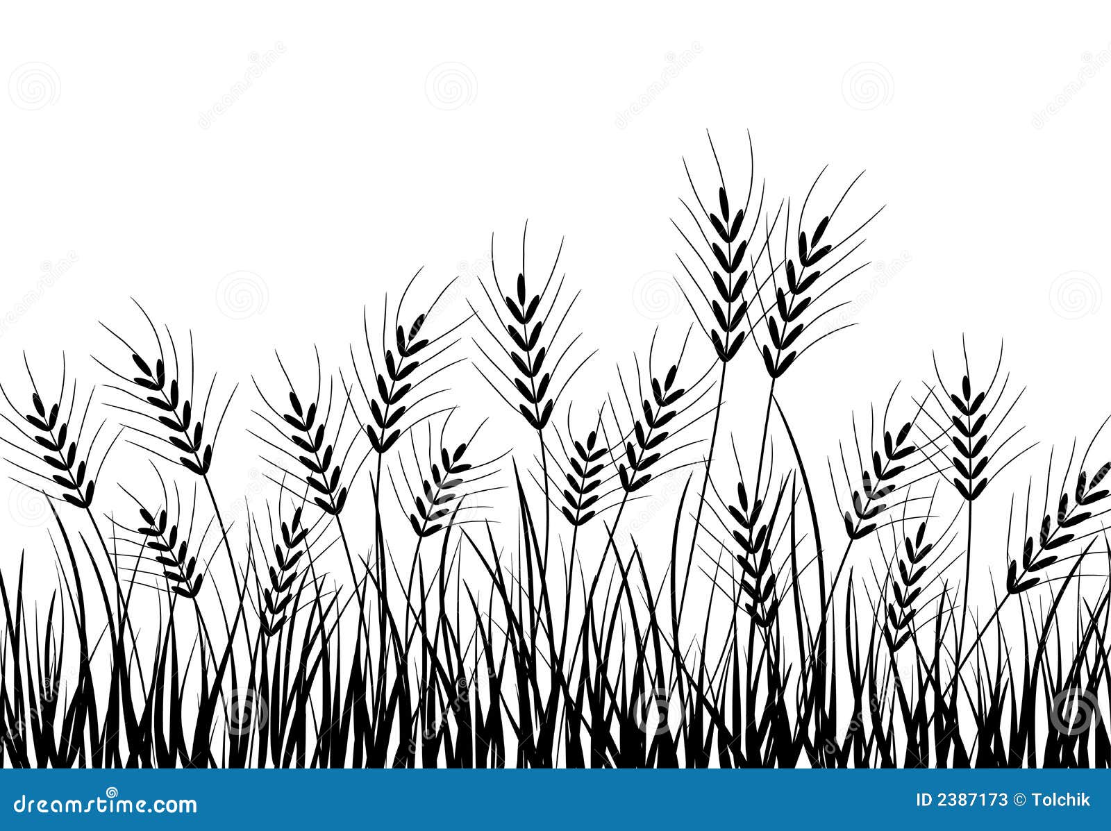 Раскраска поле пшеницы для детей