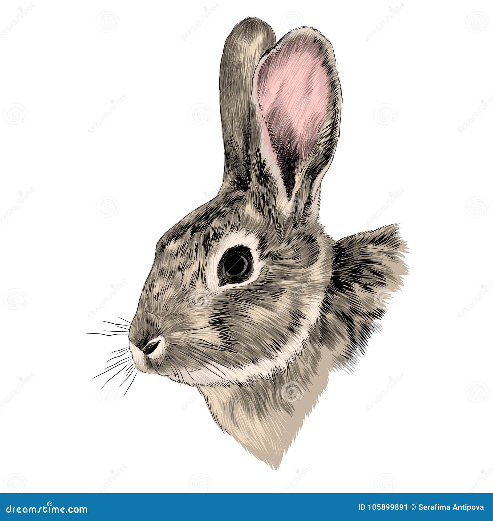 Голова кролика в профиль