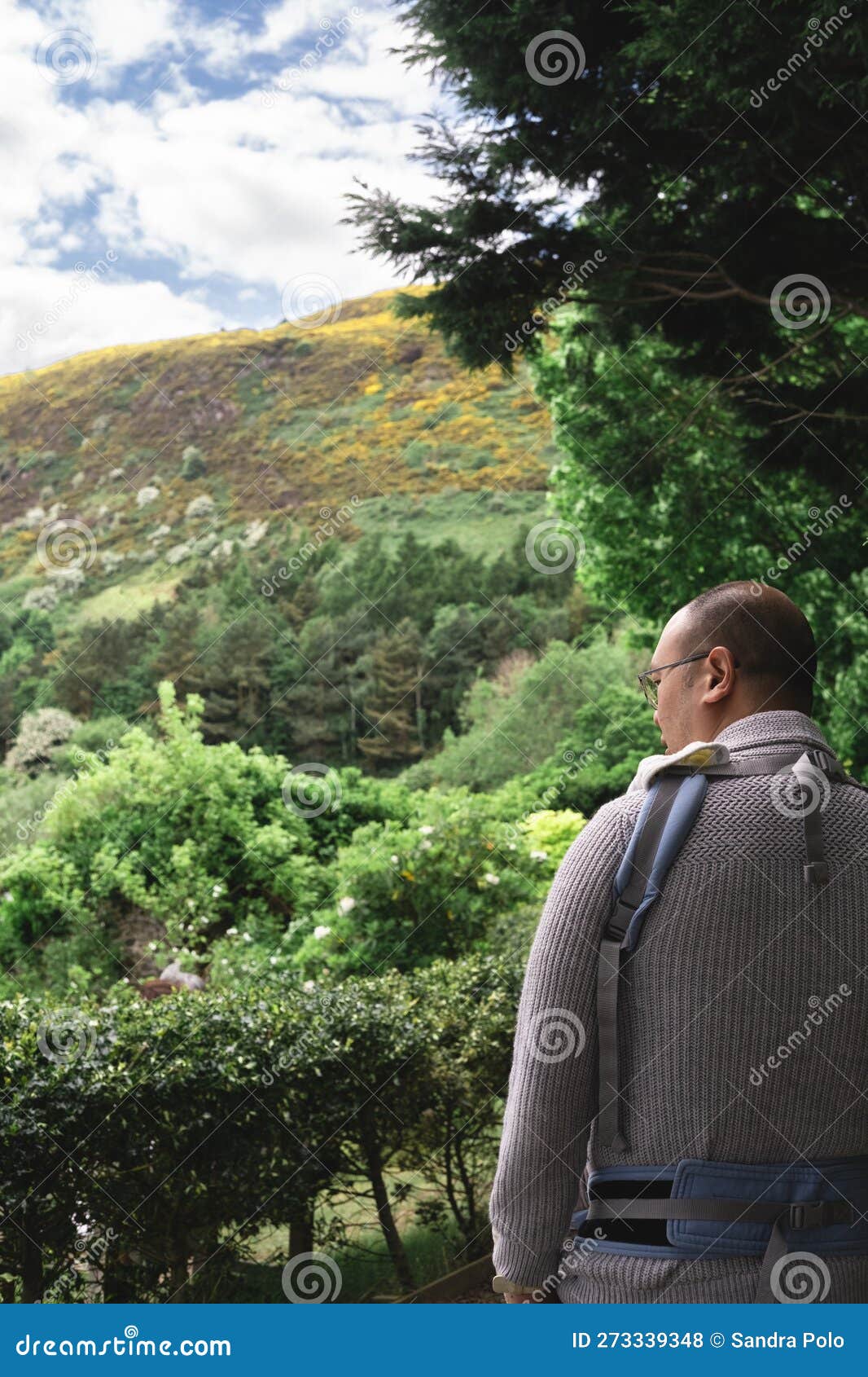 вертикальное фото из-за нового отца с детским носителем, ходящим по ...