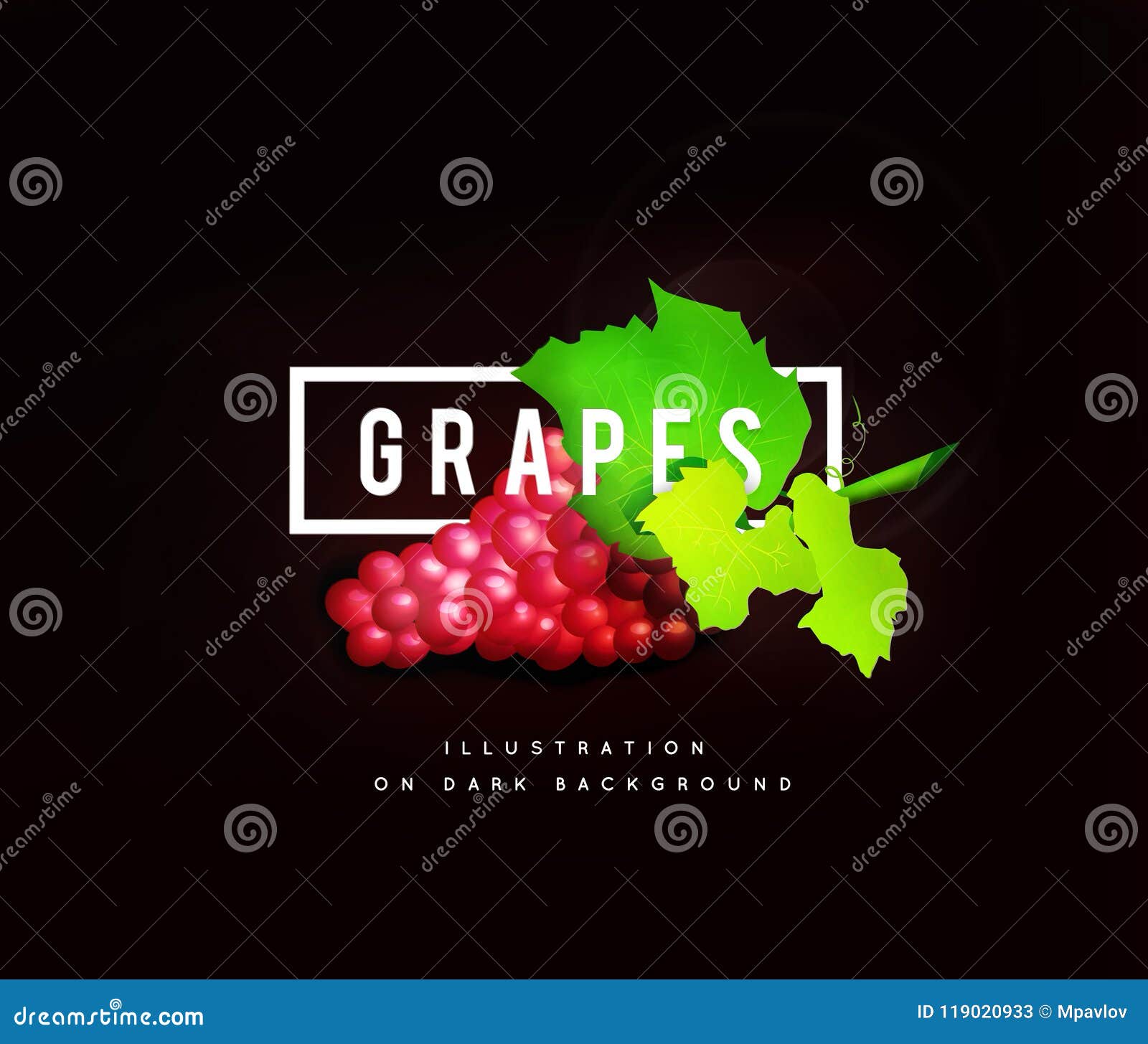 Ветвь виноградины с красными виноградинами Реалистическое illustartion. Ветвь виноградины с красными виноградинами на белой предпосылке Иллюстрация на темной предпосылке