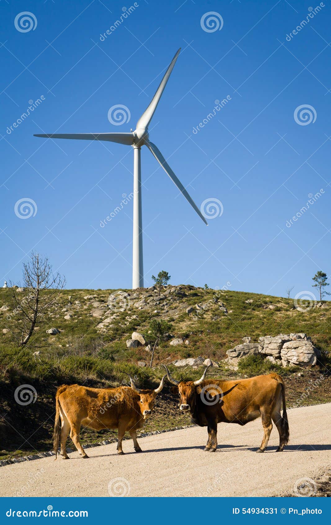 Ветротурбины - изображение запаса Стоковое Изображение - изображение ...