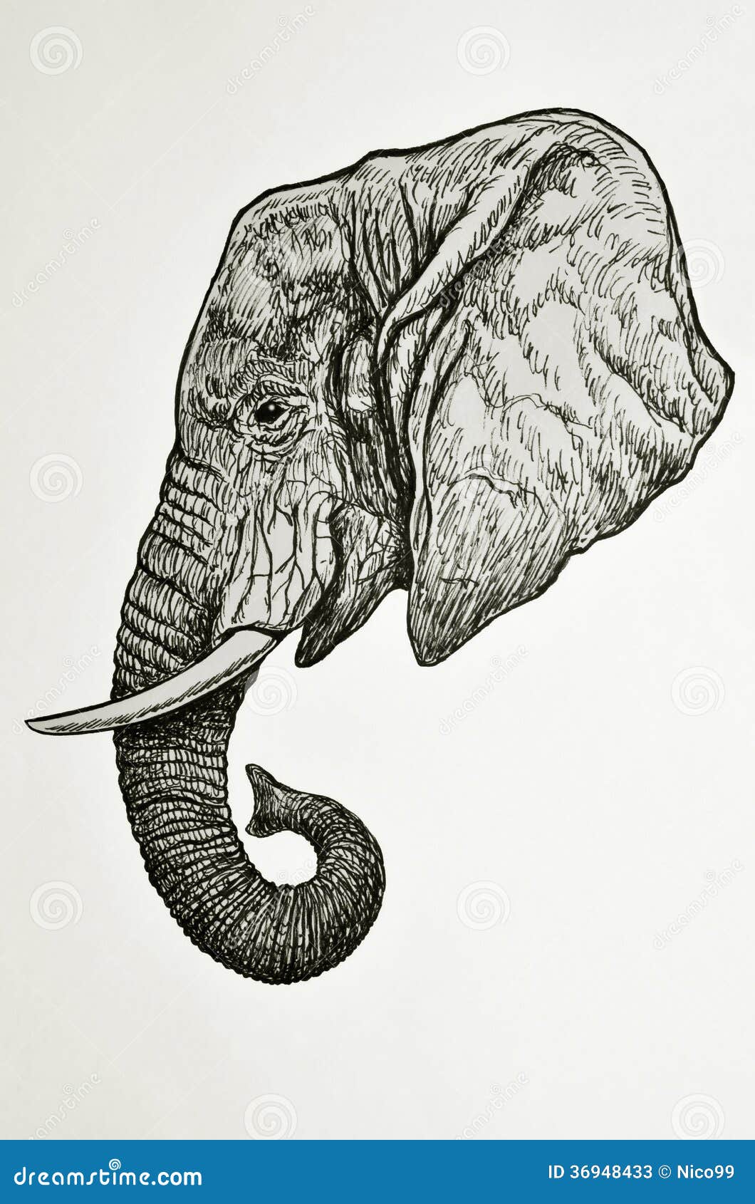 Слон сбоку арт