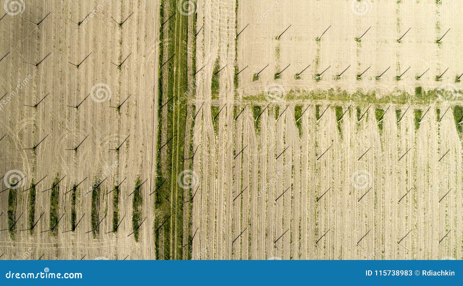 Вид с воздуха на поле хмелей Поле хмелей перед сбором Стоковое ...