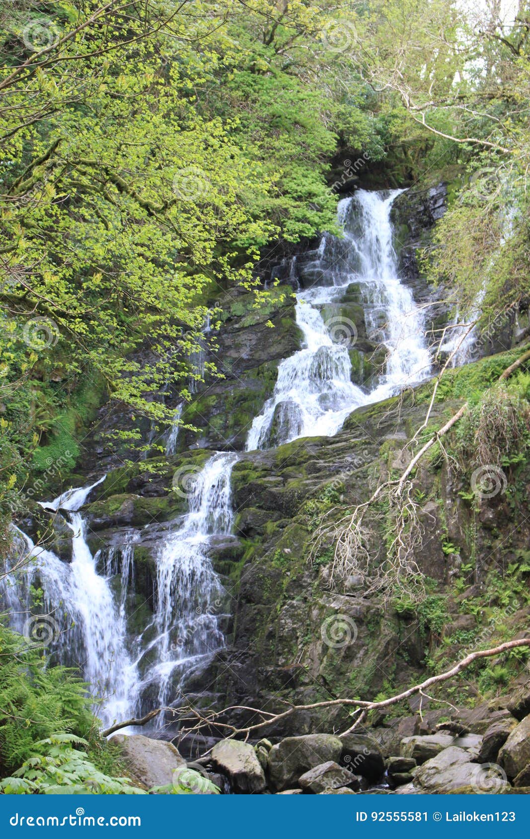Водопад. Красивый водопад с деревьями в парке в Ирландии