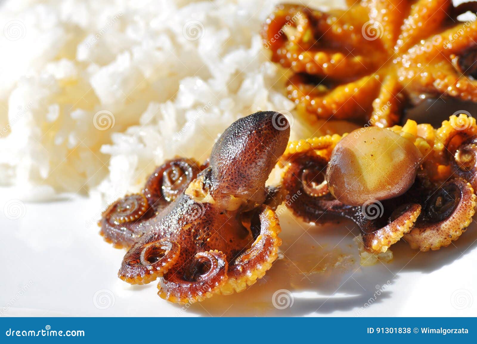 Все осьминоги и рис. Очень вкусный осьминог младенца зажаренный и застекленный с медом и специями