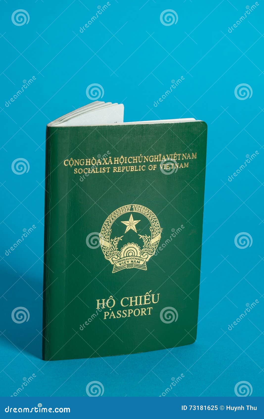загранпаспорт вьетнам