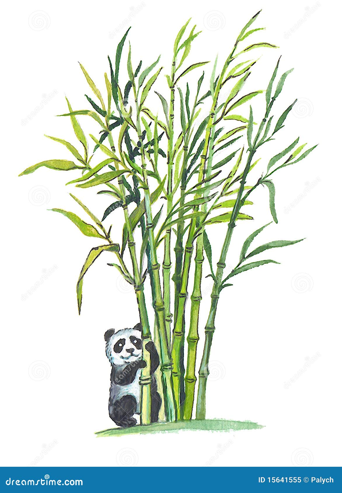 Кот и бамбук