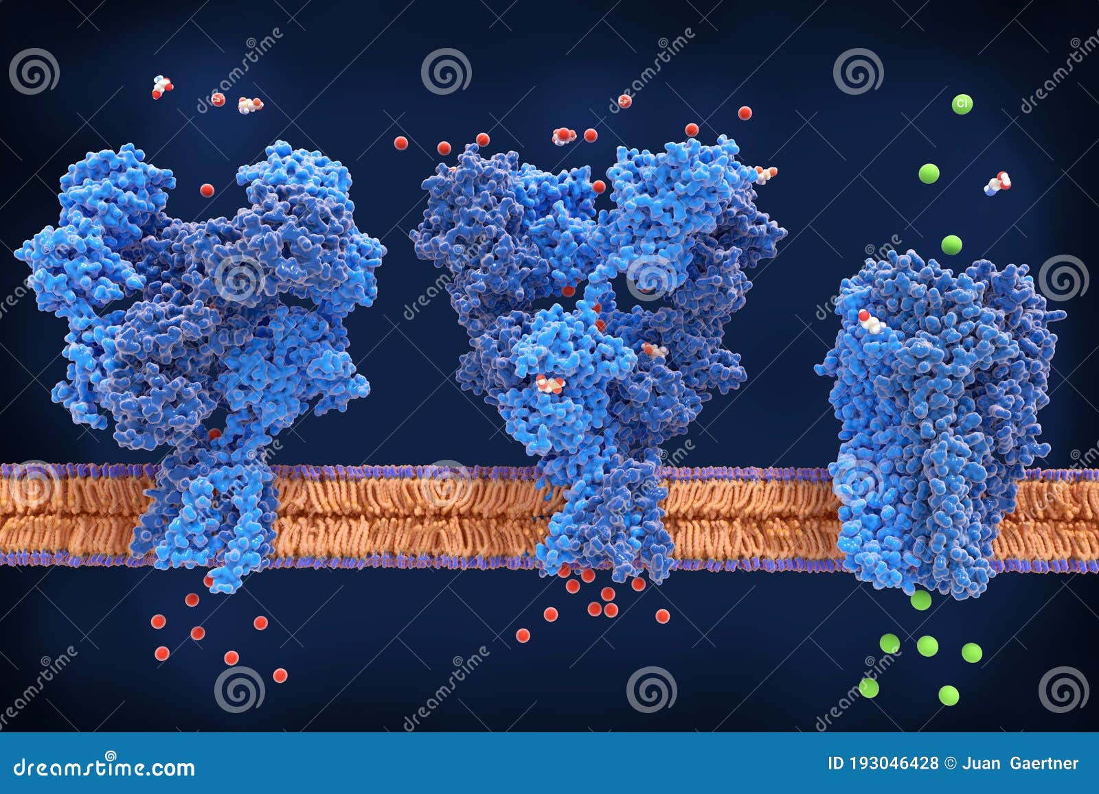 Главный мозг синапса : Рецепторы Ampa&gaba Nmda Иллюстрация штока ...