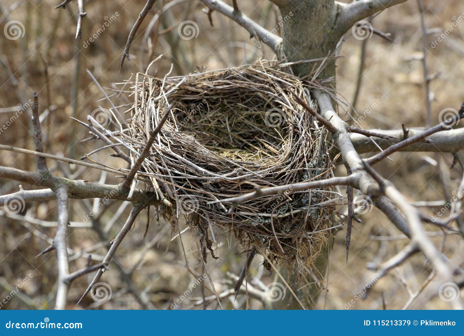 Гнездо для птиц 10*10*20см SD201847