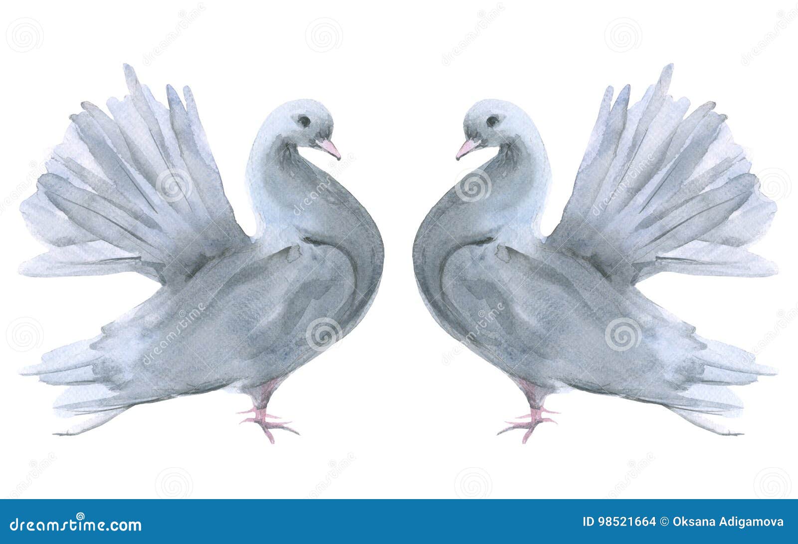 2 Голубя рисунок