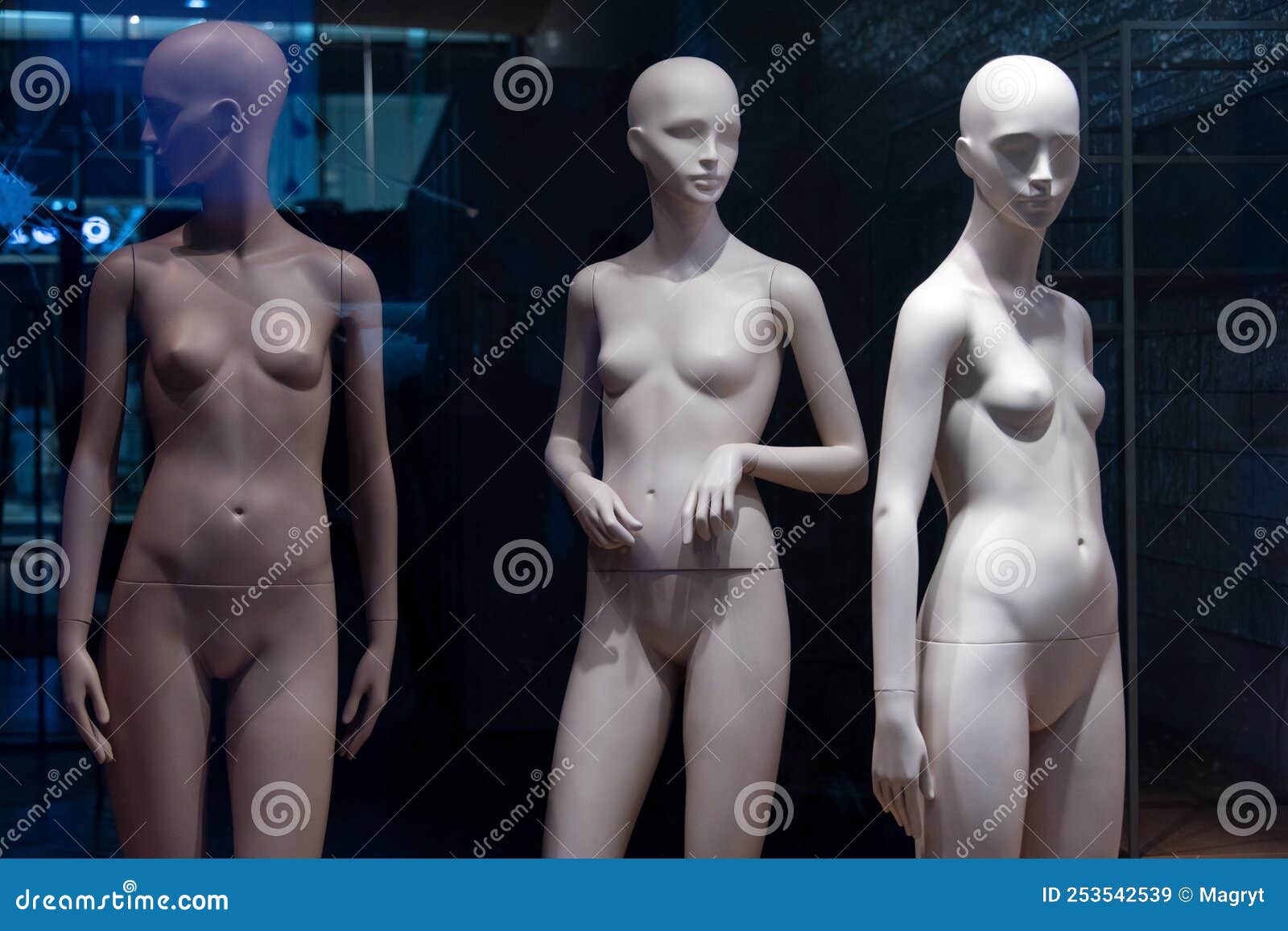 Мода голых девушек (70 фото)