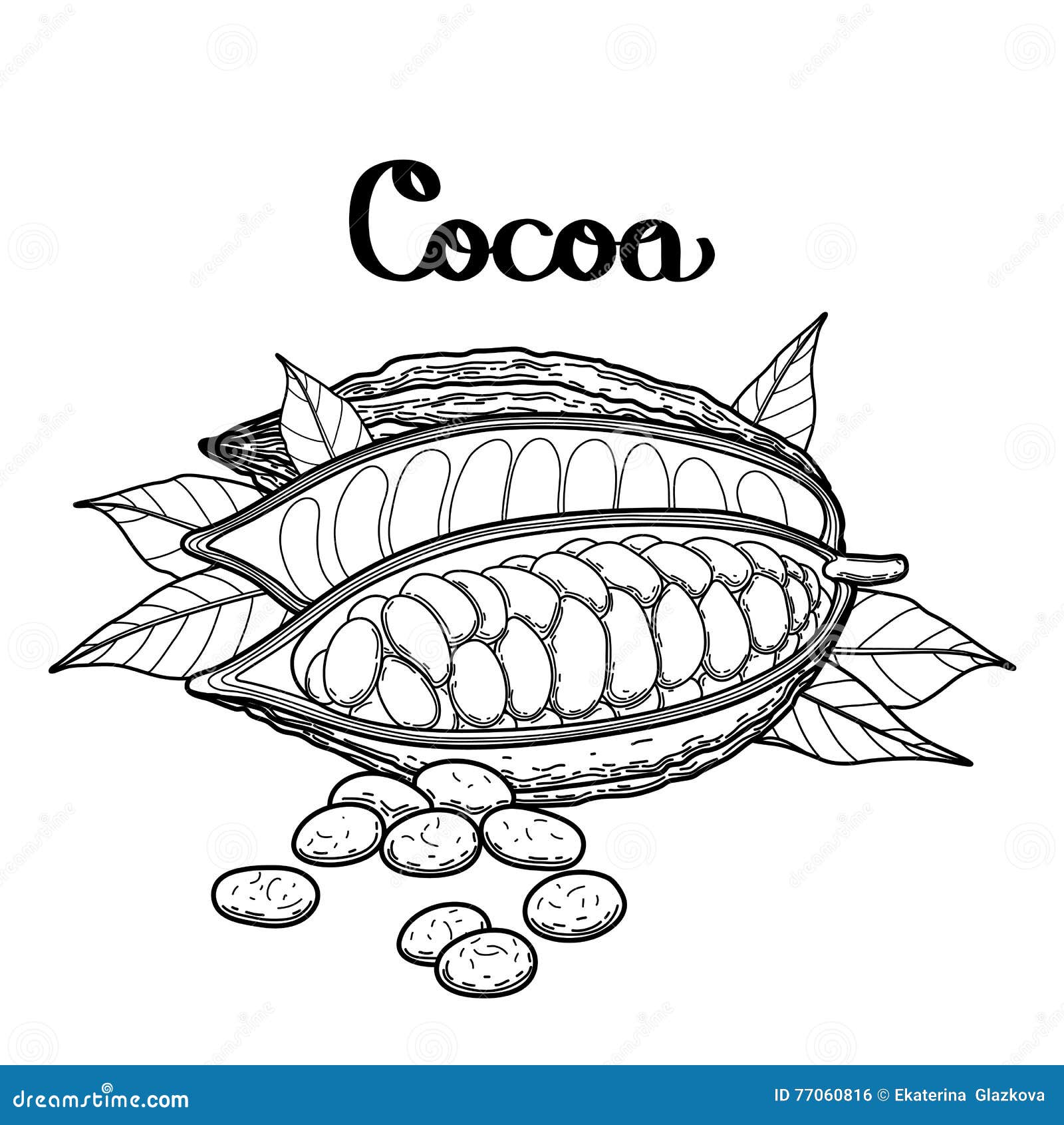 Какао Бобы