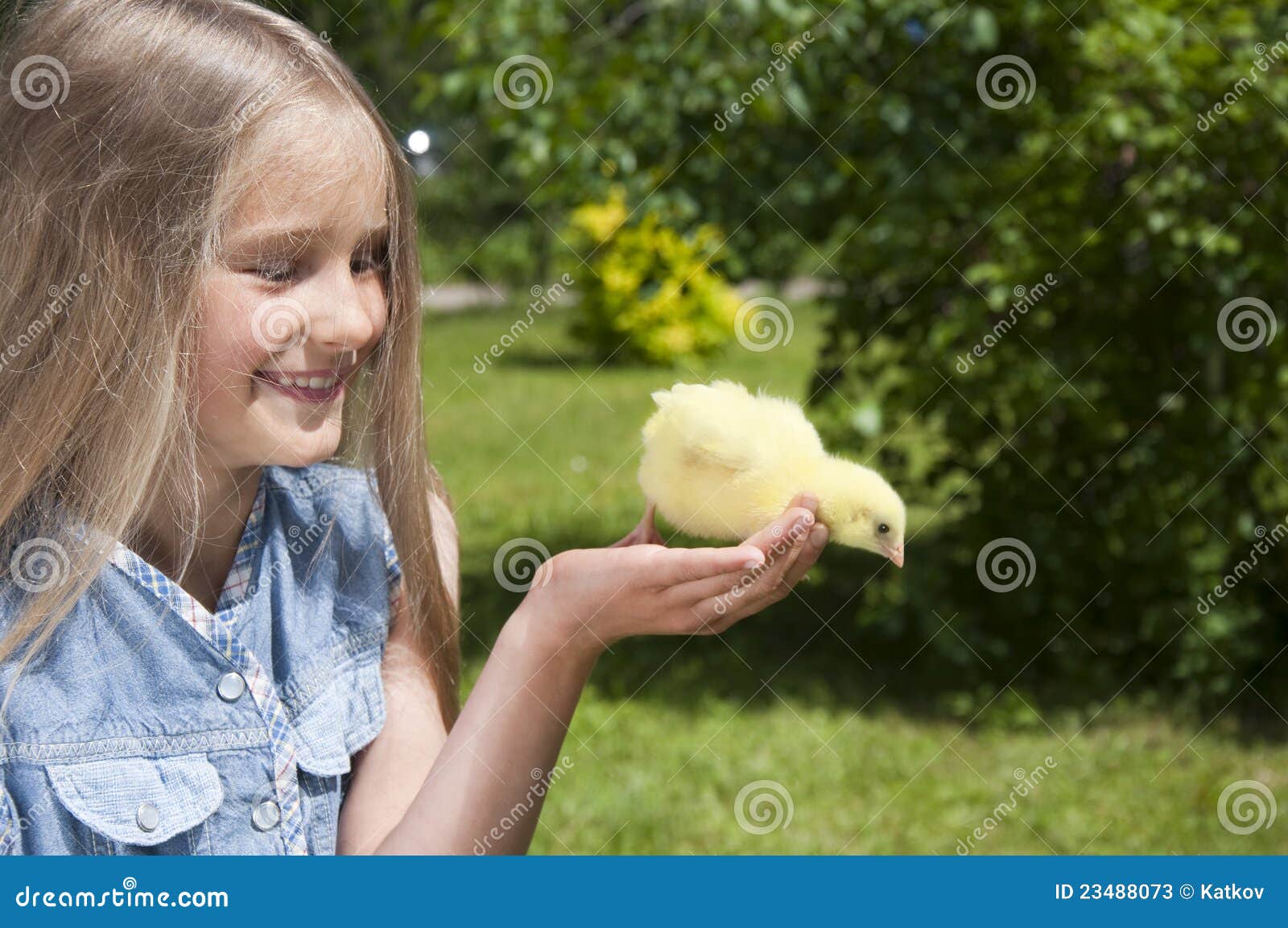 девушка цыпленка счастливая немногая малое. девушка цыпленка держа немногую малым