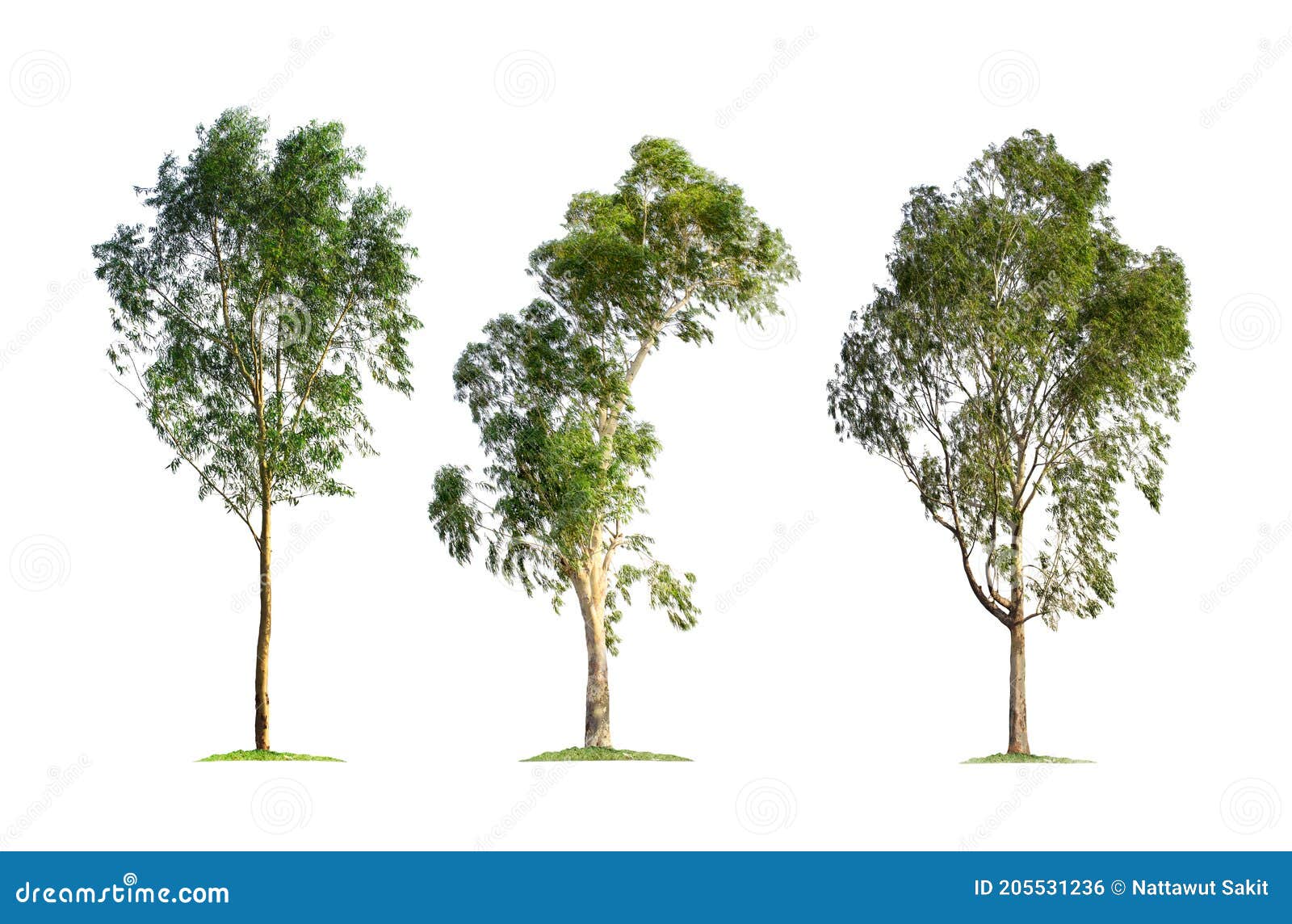 Объемные деревья из бумаги (73 фото)