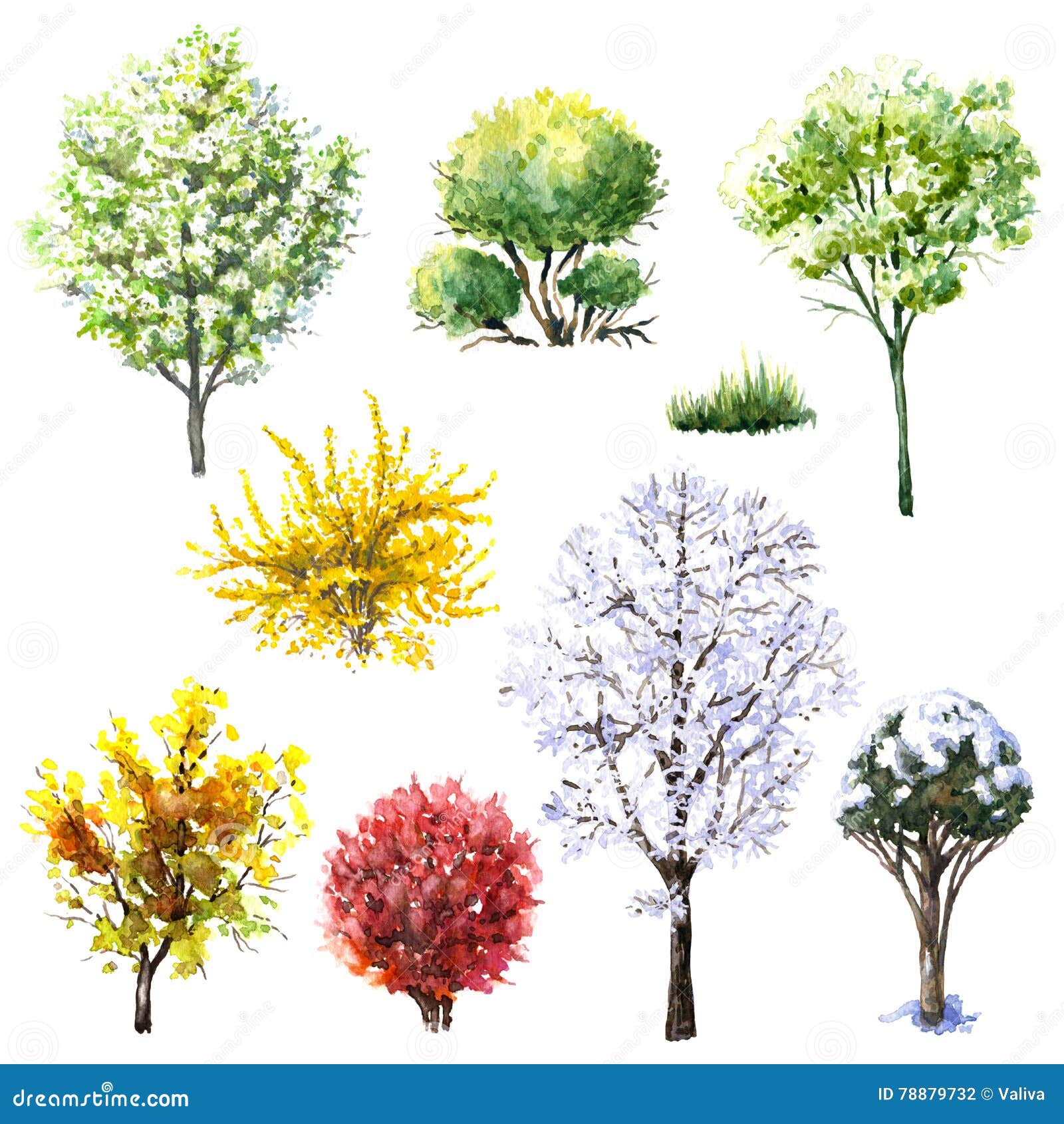 Группа лиственных деревьев и кустарников