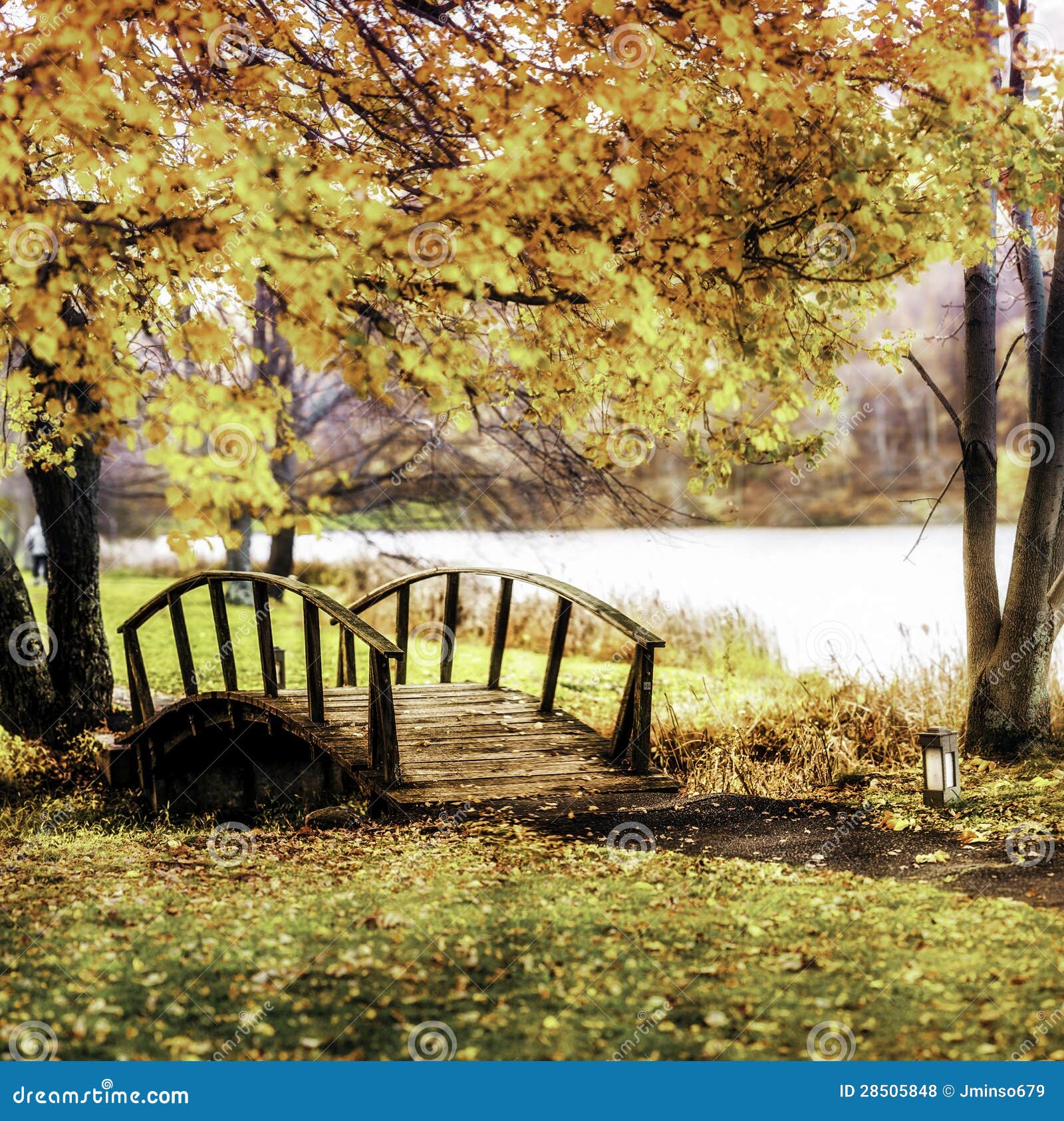 Деревянный мост осенью стоковое фото. изображение насчитывающей бобра .