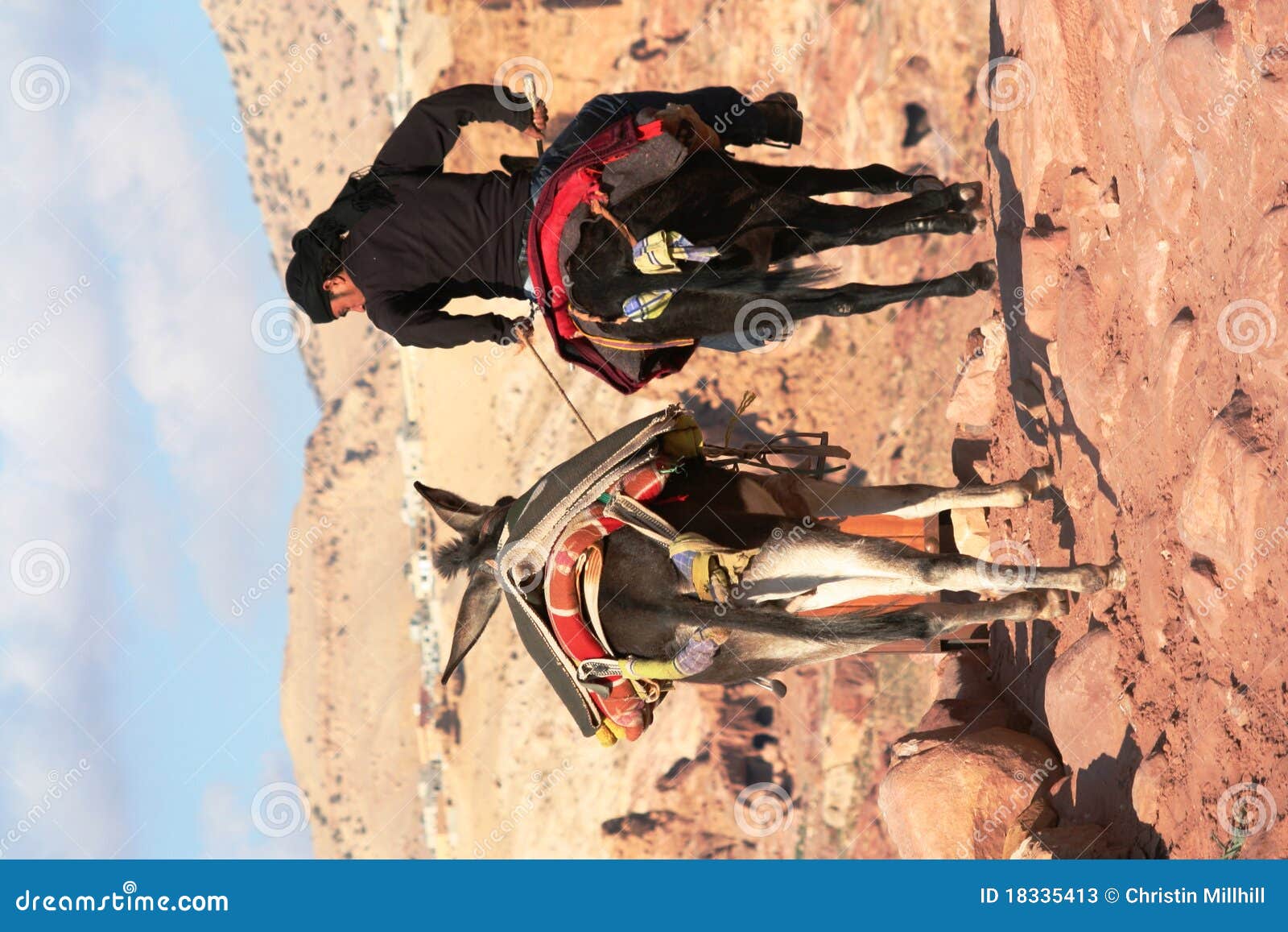 детеныши riding осла бедуина. детеныши riding petra стародедовского удерживания осла города бедуина иорданские