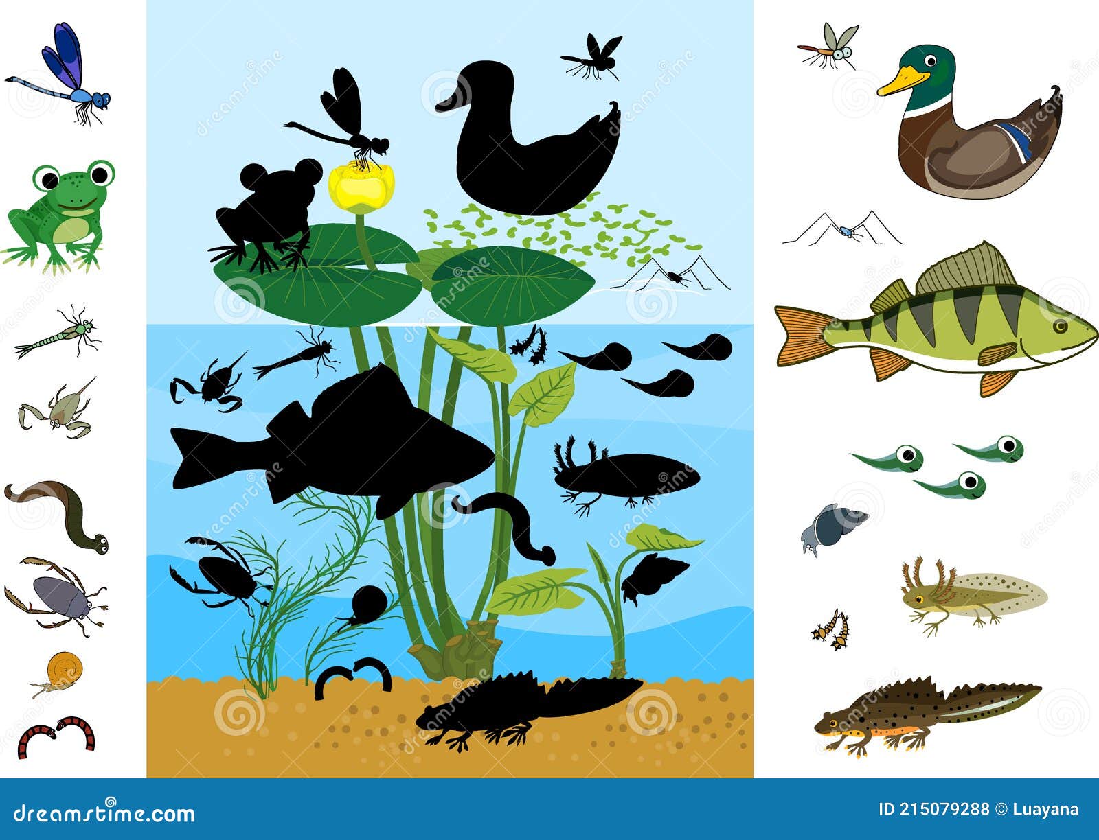 Find the Right Shade. Educational Children Matching Game with Animals