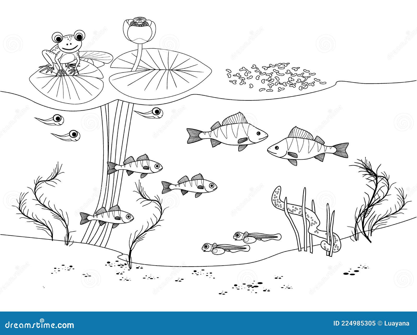 Printable Ecosystem Coloring Pages