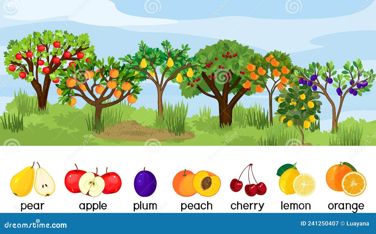 Landscape with Different Fruit Trees with Ripe Fruits. Harvest Time