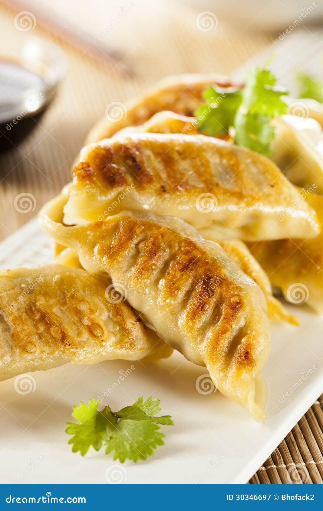 Домодельный азиат Vegeterian Potstickers с соевым соусом и свининой