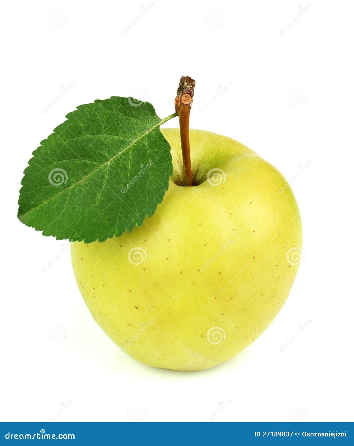 Желтое яблоко с листиком