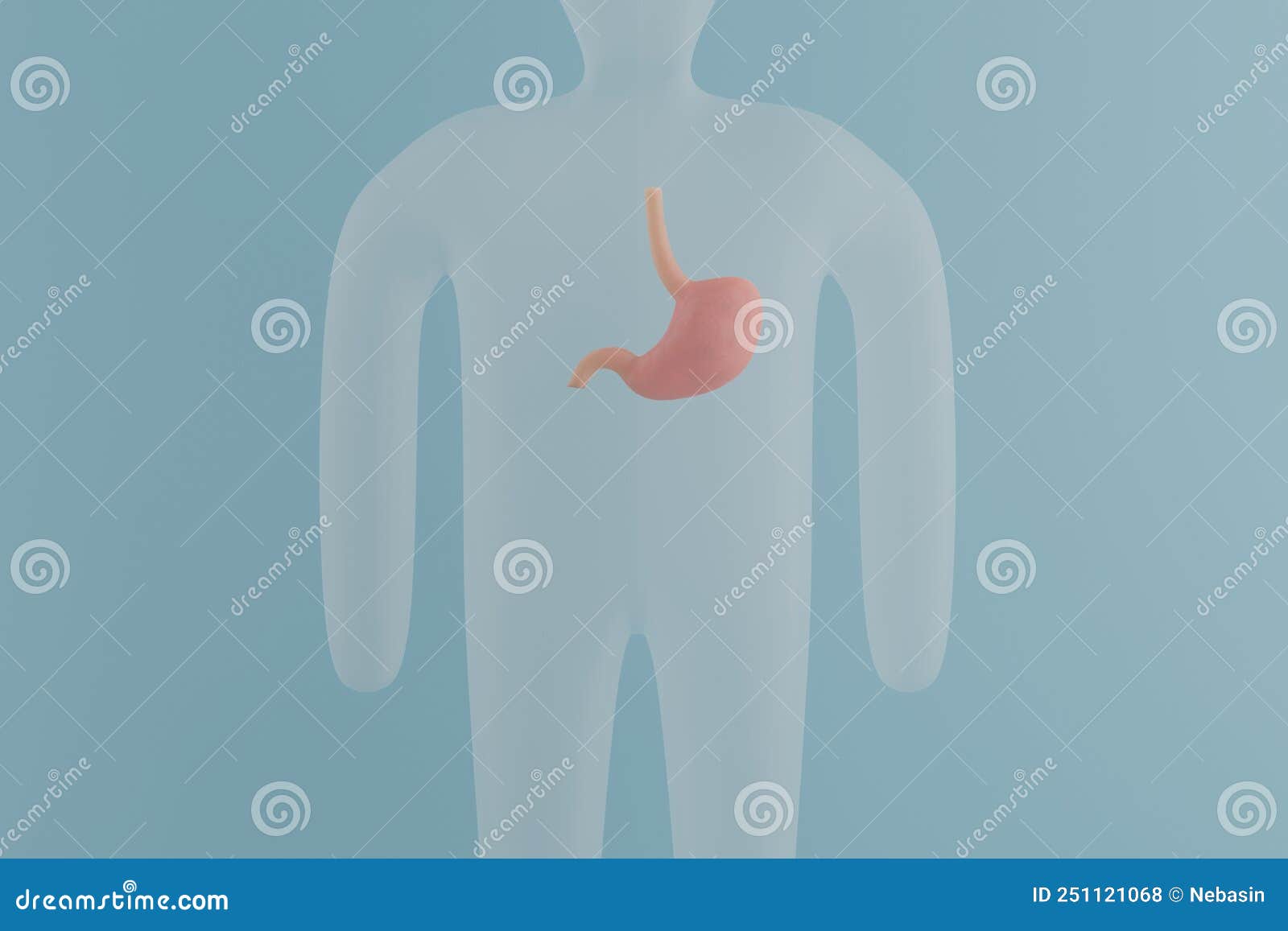 желудок на теле человеческой фигуры. проблемы пищеварения желудка 3d ...