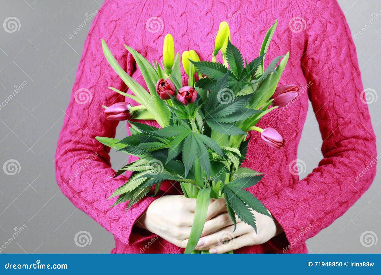 конопля тюльпаны