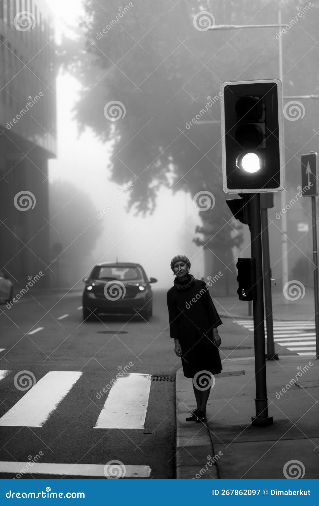 женщина в пальто стоит на перекрестке возле светофора в густом тумане ...