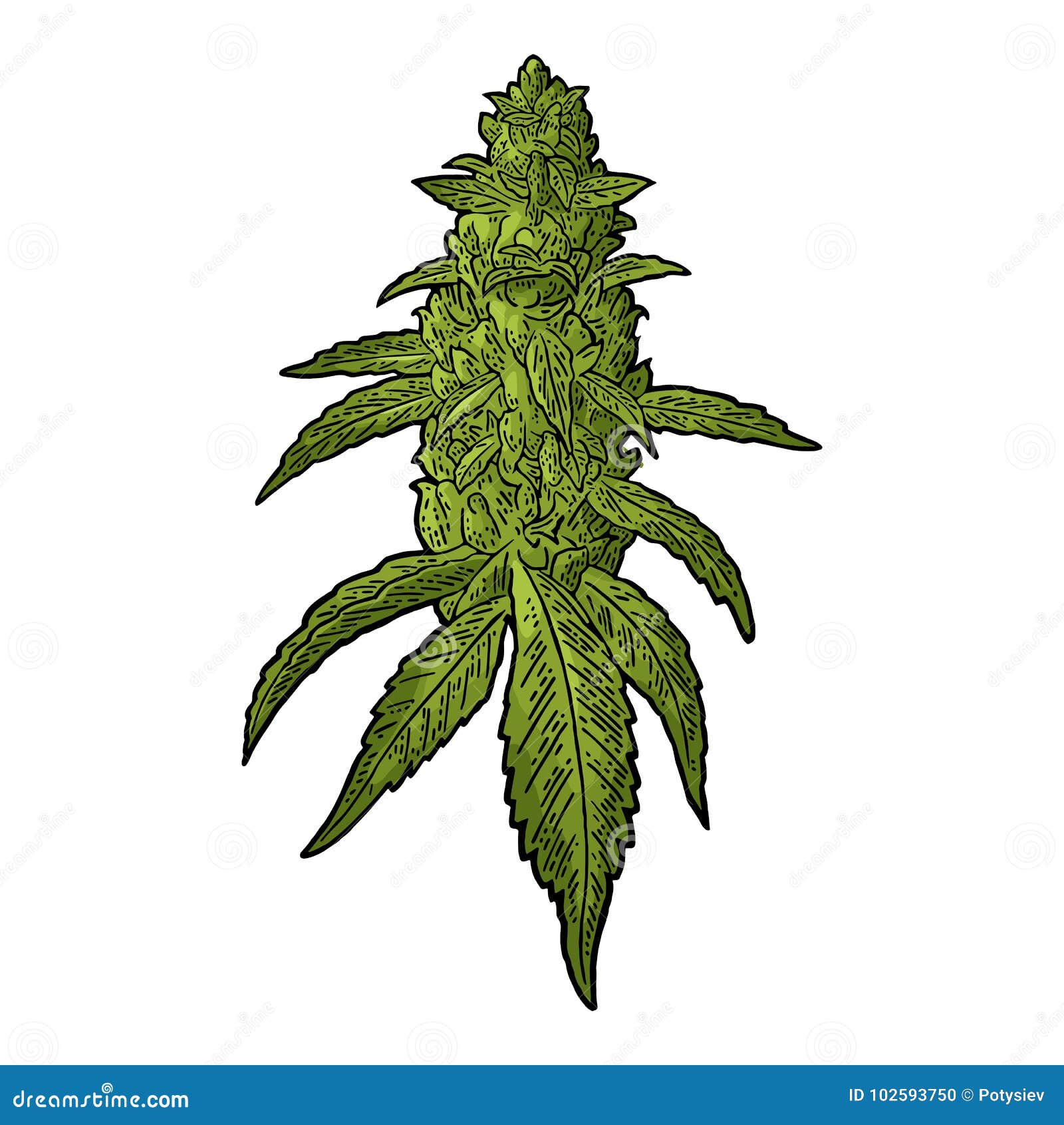 вещи с рисунком марихуаны