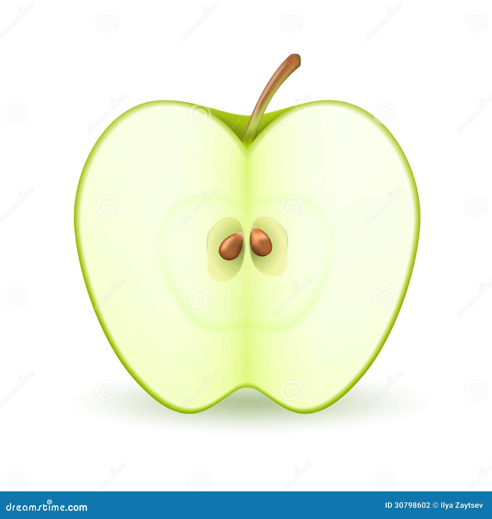 Зеленое яблоко в разрезе