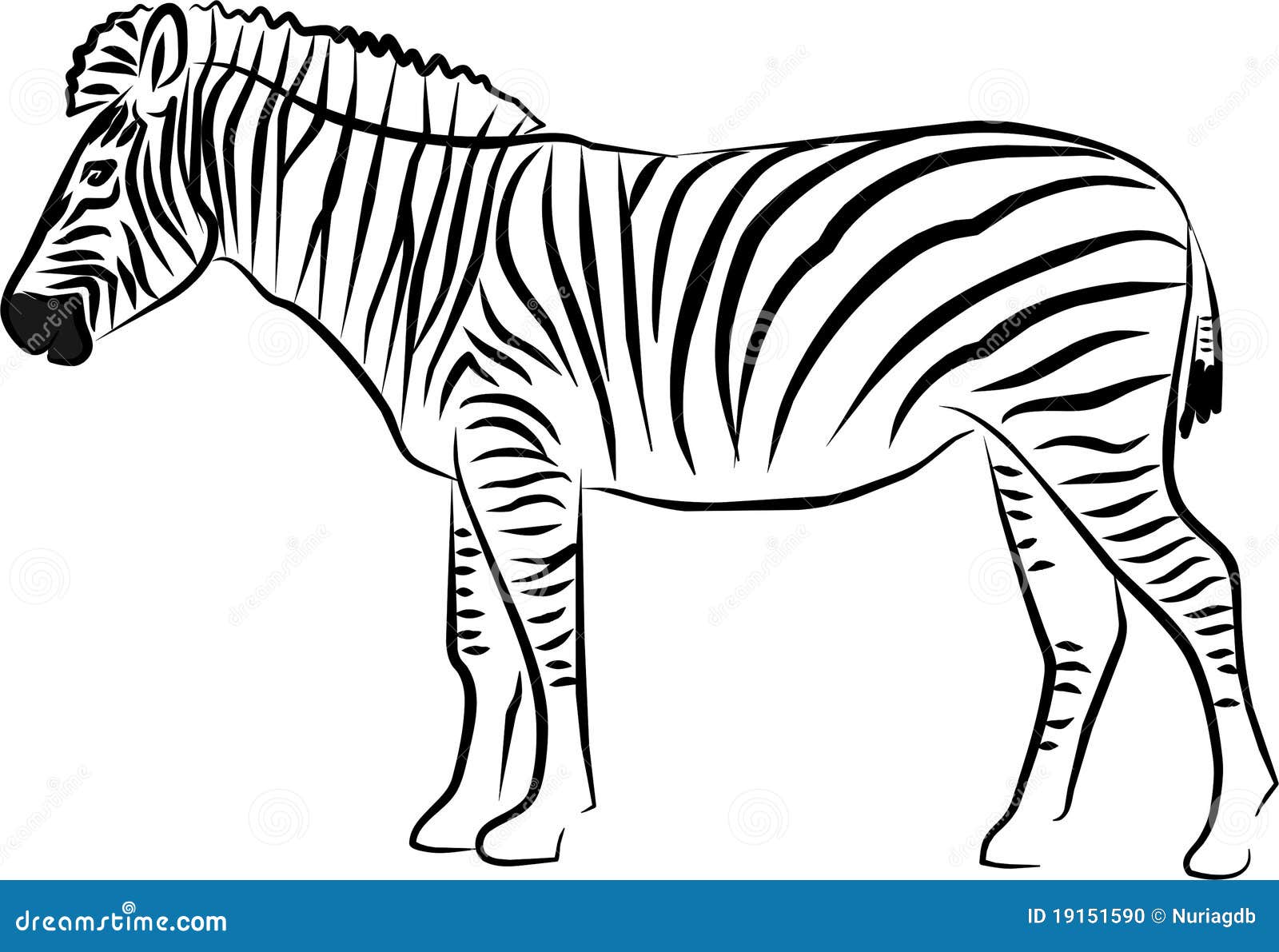 Zebra Herd outline