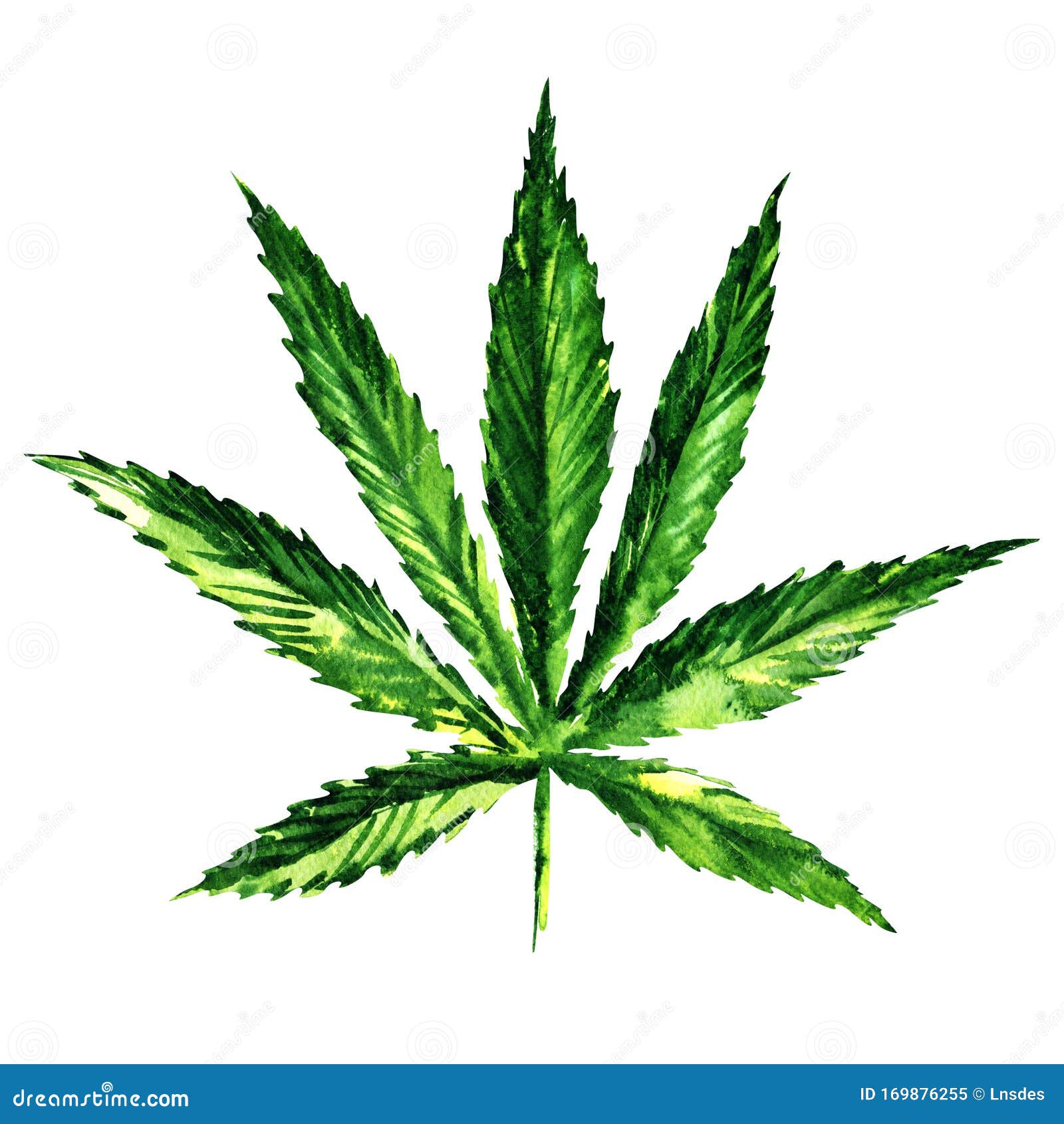 Конопля листья марихуана как проращивать семена гидропоники