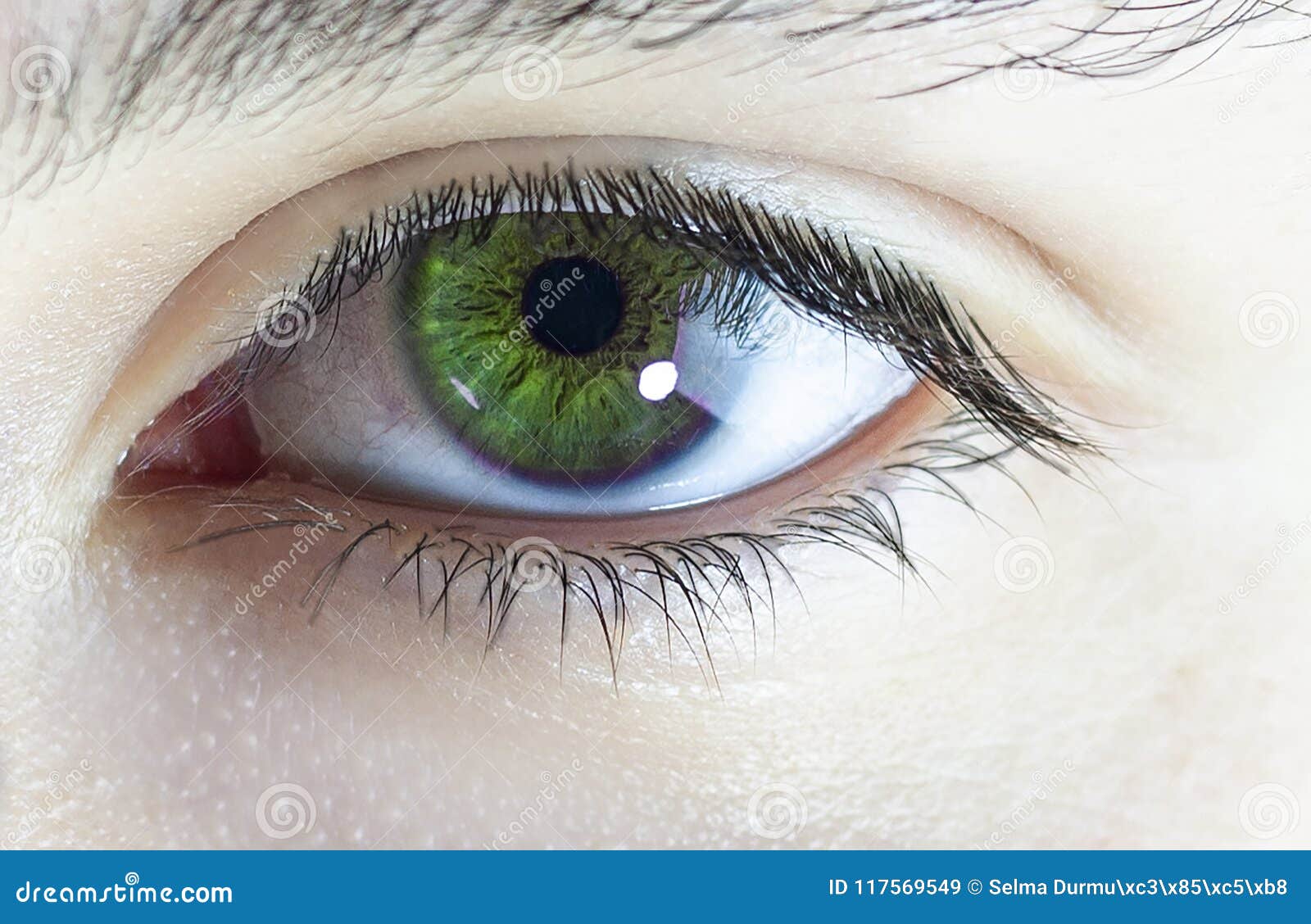 Ученые назвали самый редкий цвет глаз в мире