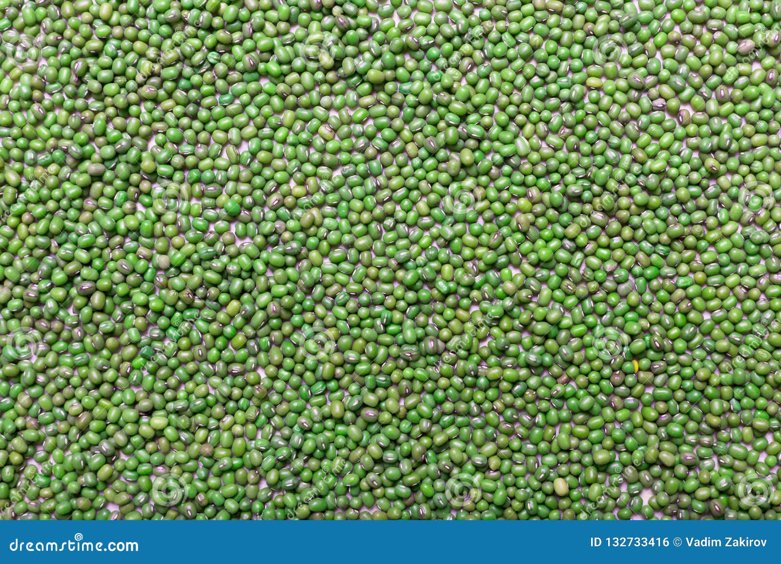 Зеленые чечевицы на таблице Эти бобы содержат много протеин овоща ...