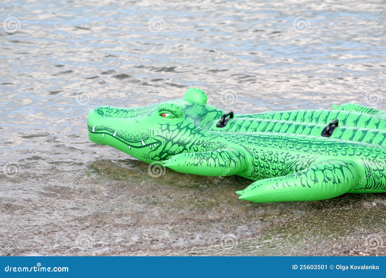 Зеленый крокодил в воде