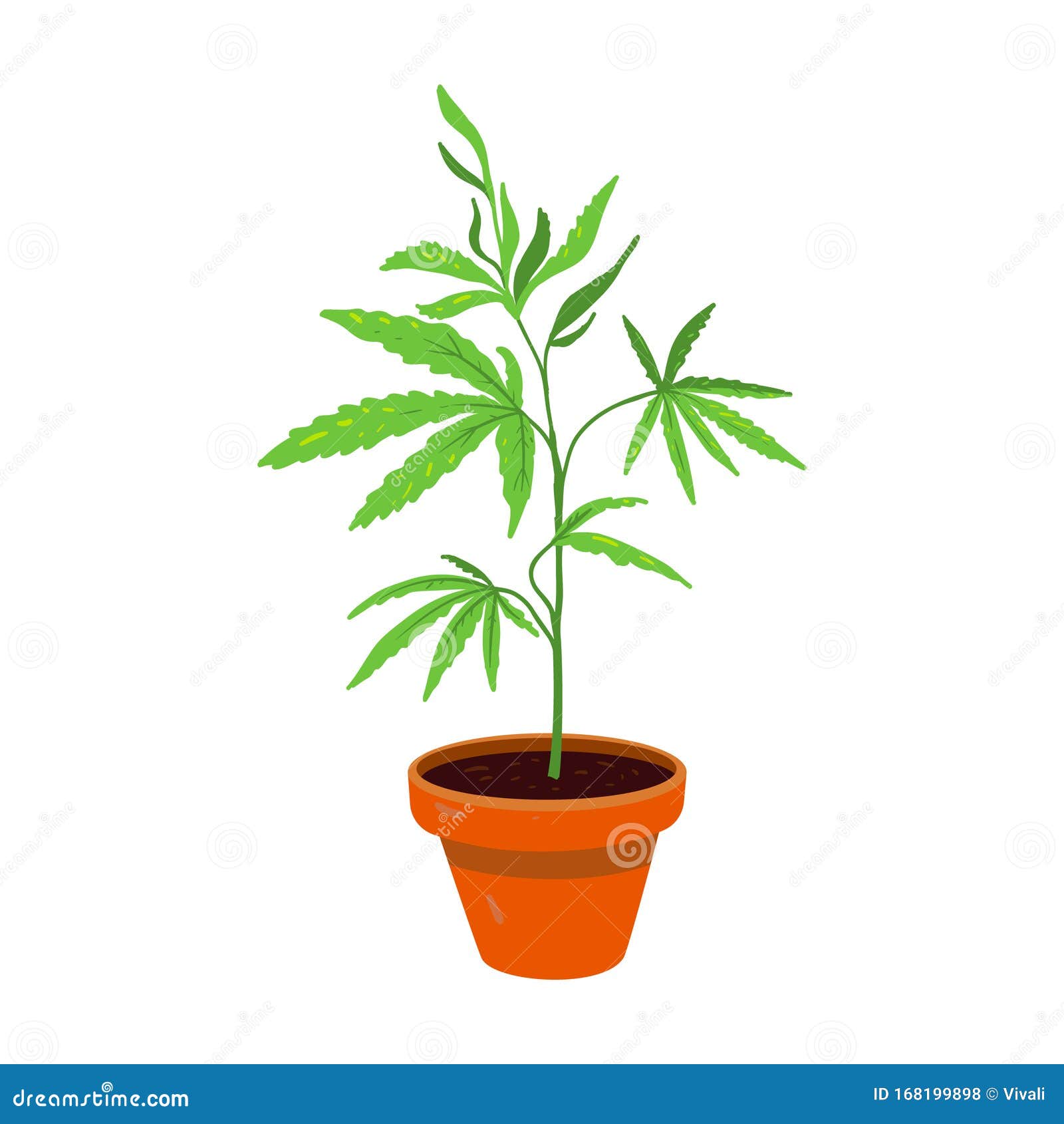 Конопля маленький значок марихуана выращивание в помещении