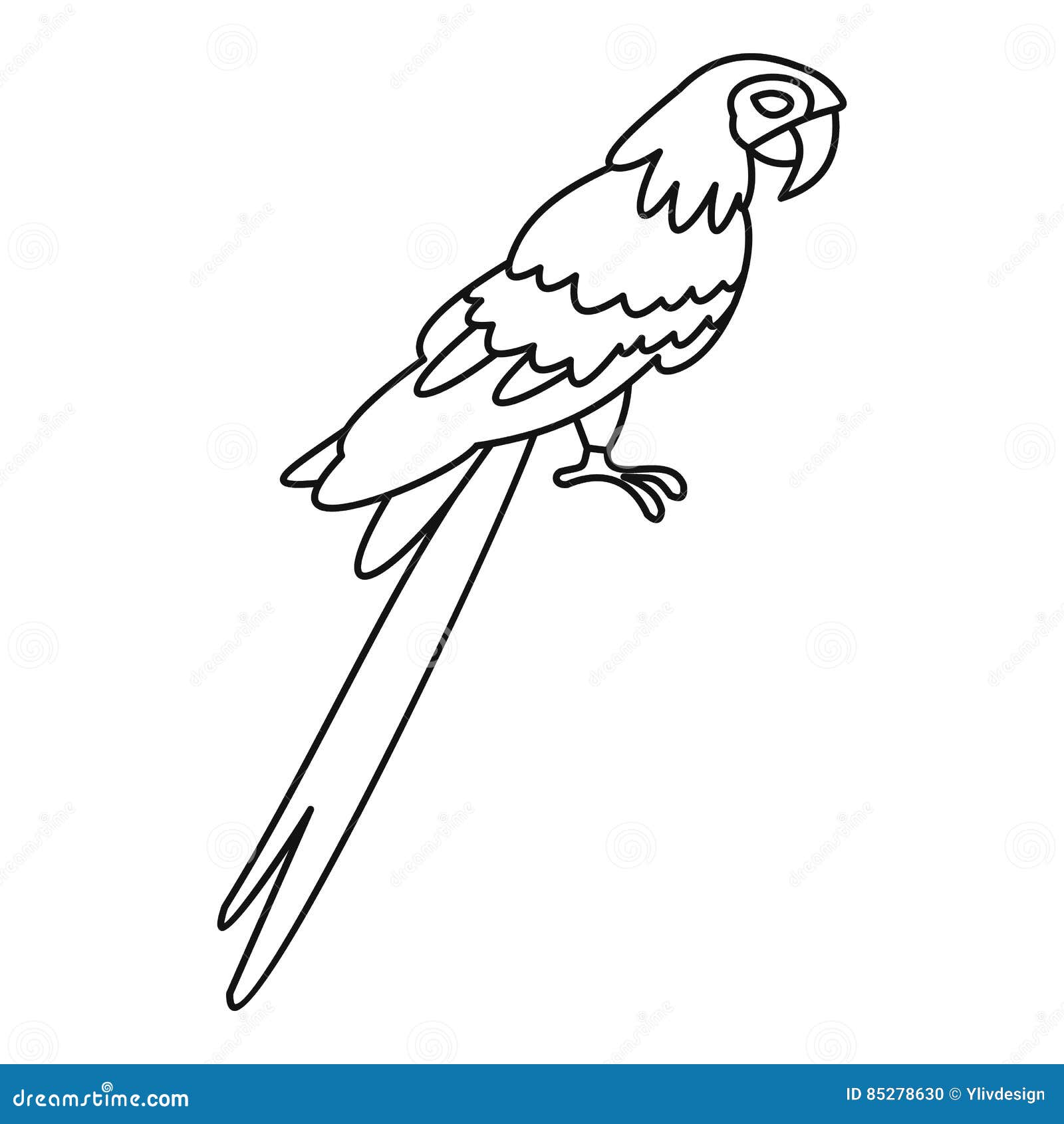 Рисунок для обводки в стиле попугая