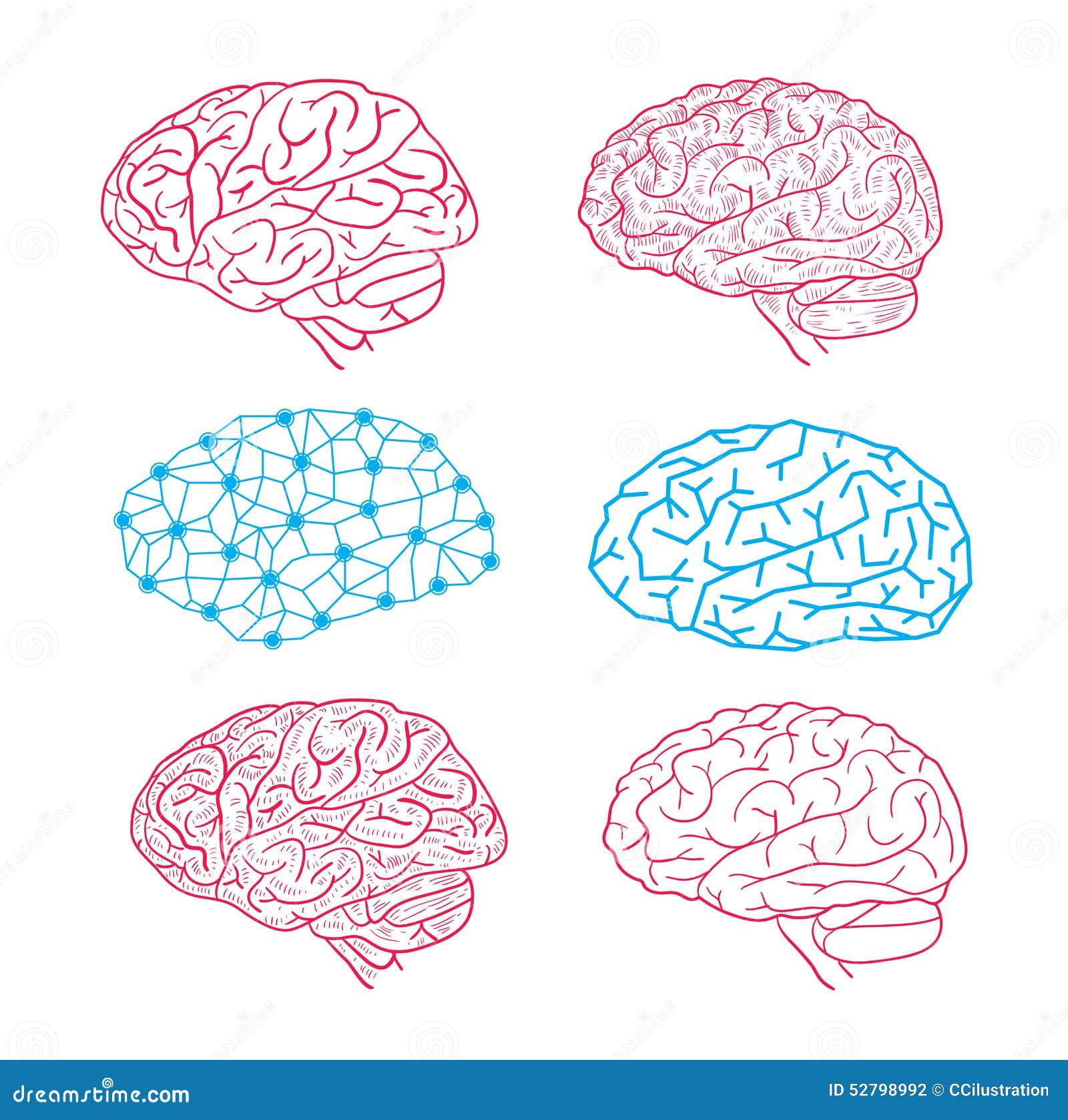 Человеческий мозг изометрия