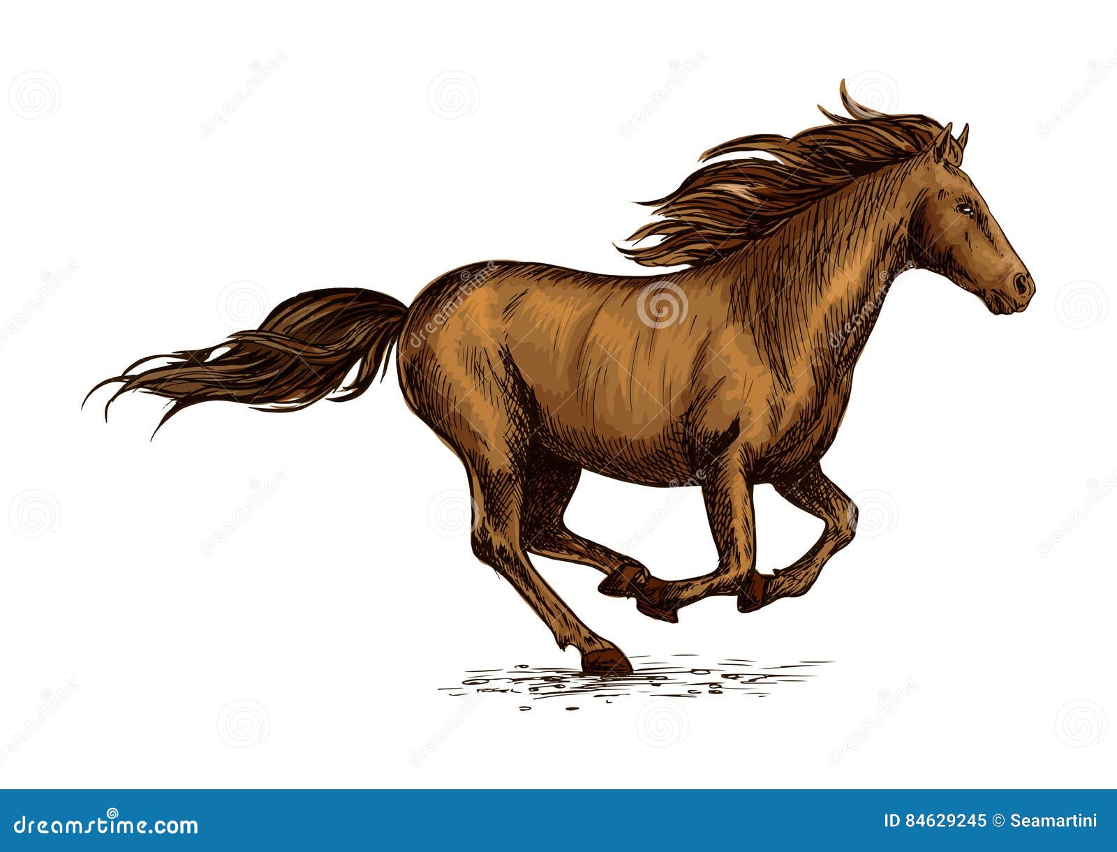 Идущий эскиз лошади для дизайна конноспортивного спорта Иллюстрация ...