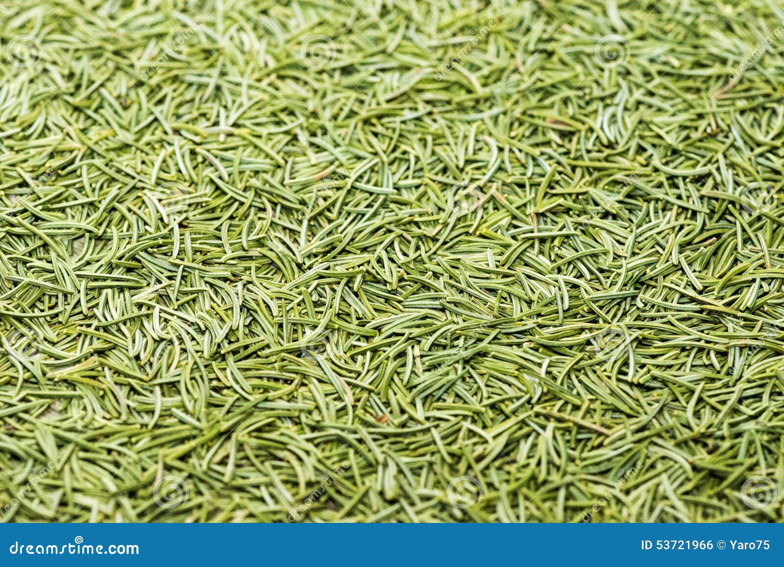 игла стоковое фото. изображение насчитывающей горизонтально - 53721966