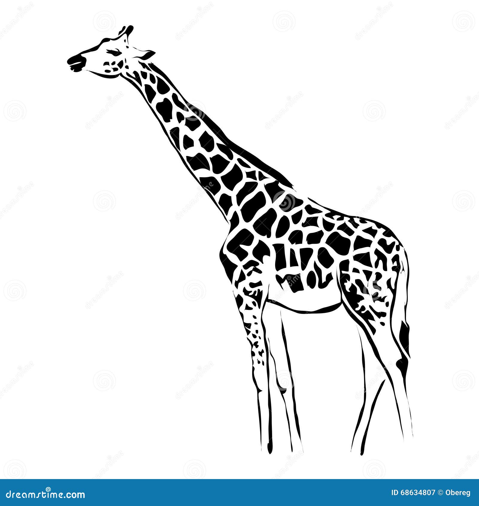 Жираф векторный рисунок контуры