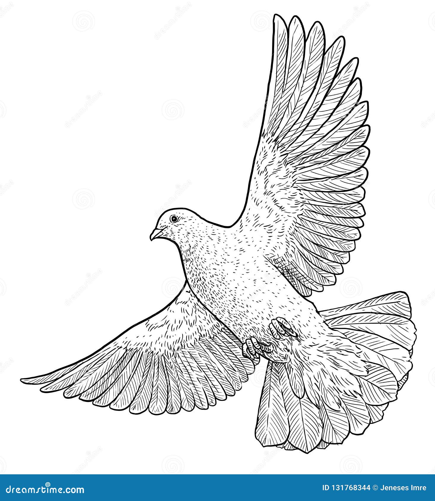 Зарисовки голубей