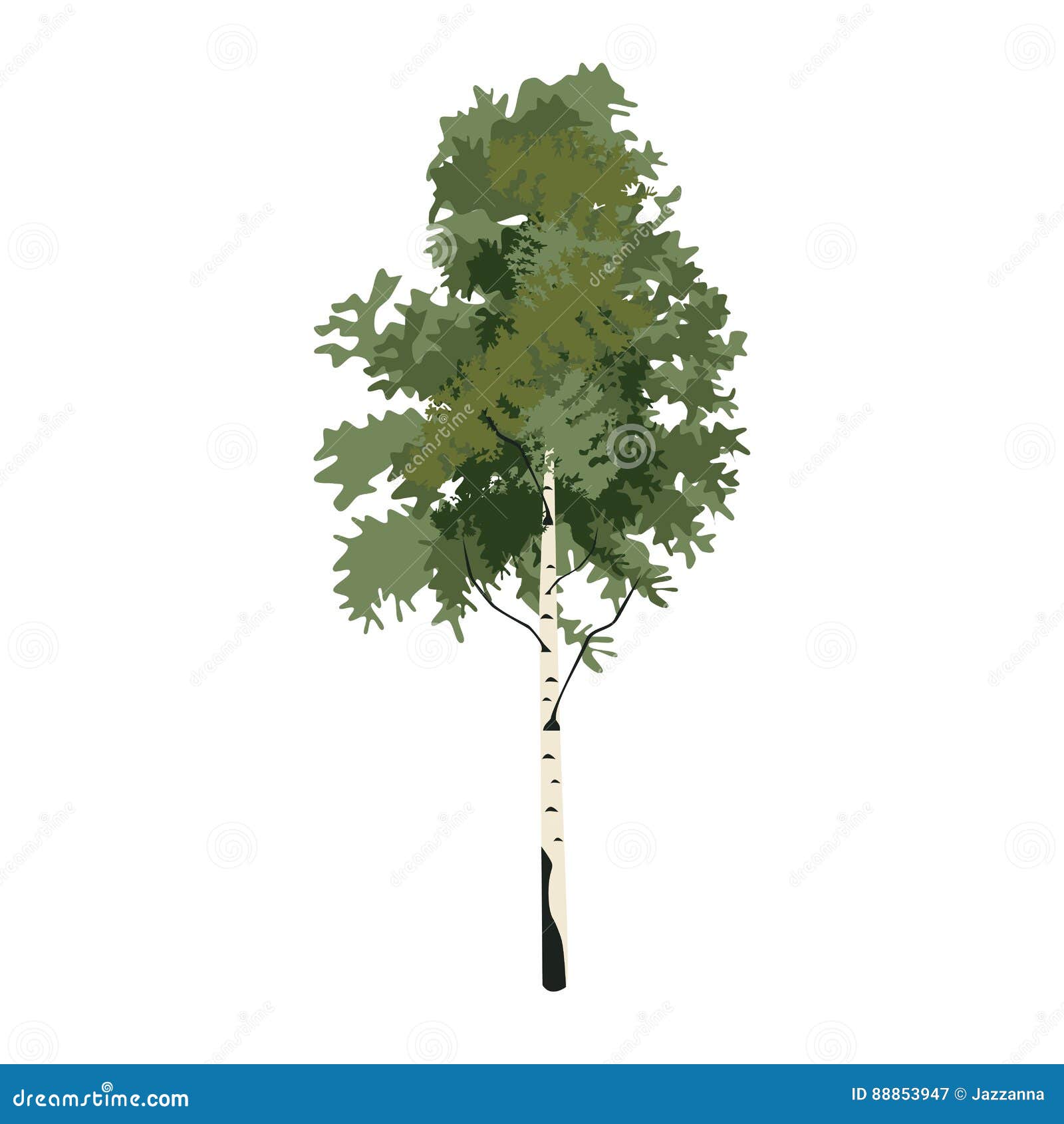 Birch-Tree вектор