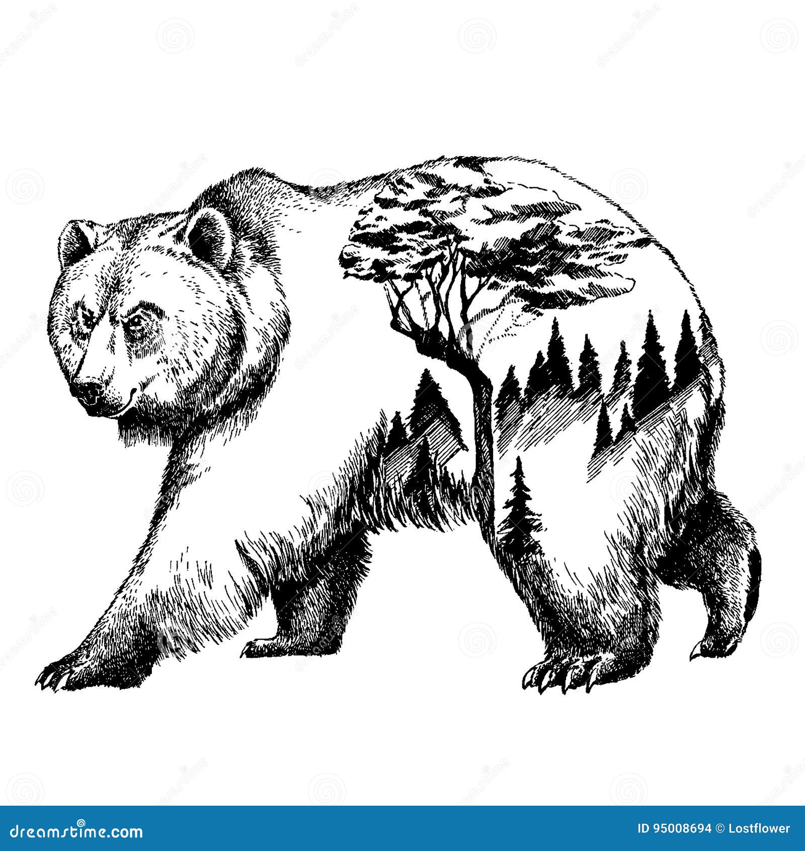 Медведь сбоку рисунок
